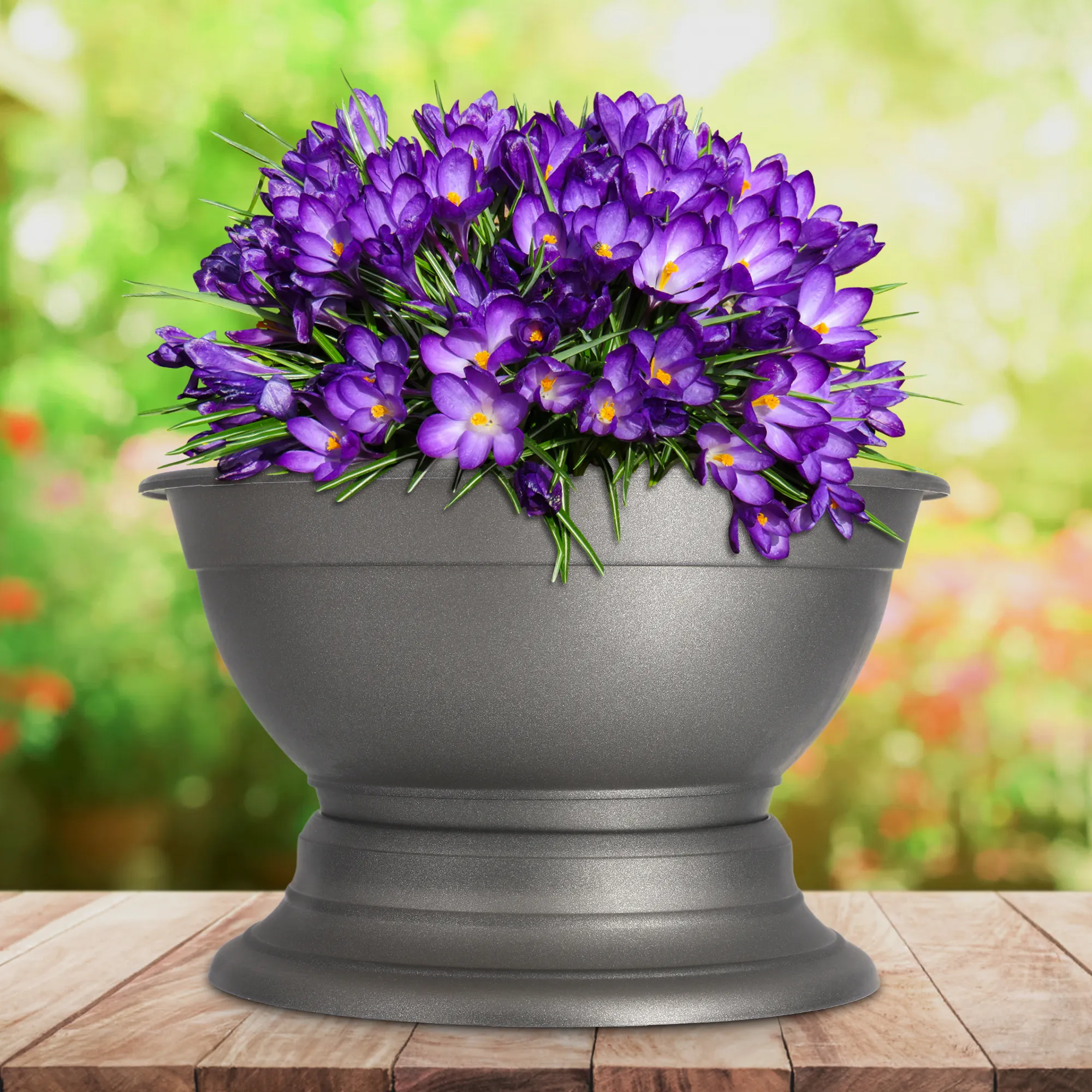 Ulmi kapinių gėlių dubuo 26 cm