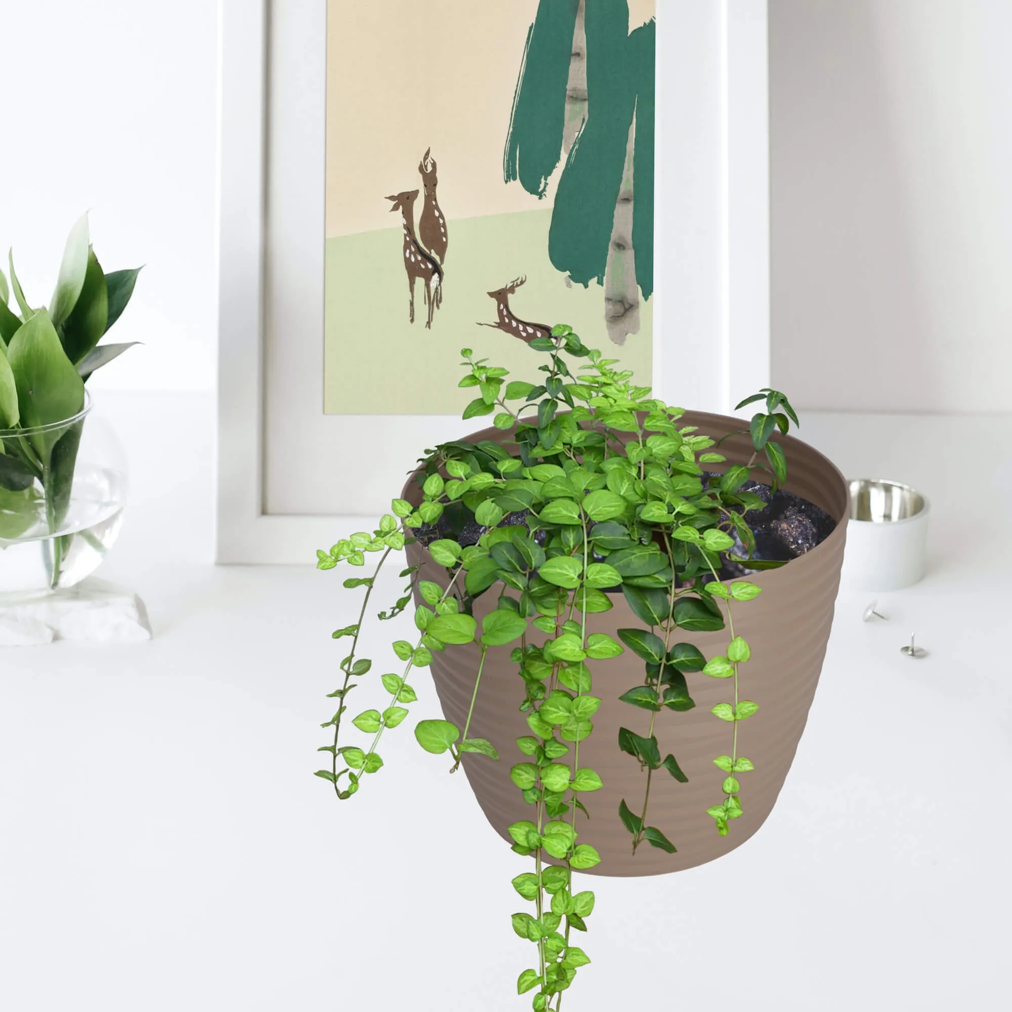 Apvalus gėlių vazonas su lėkštute 17 cm
