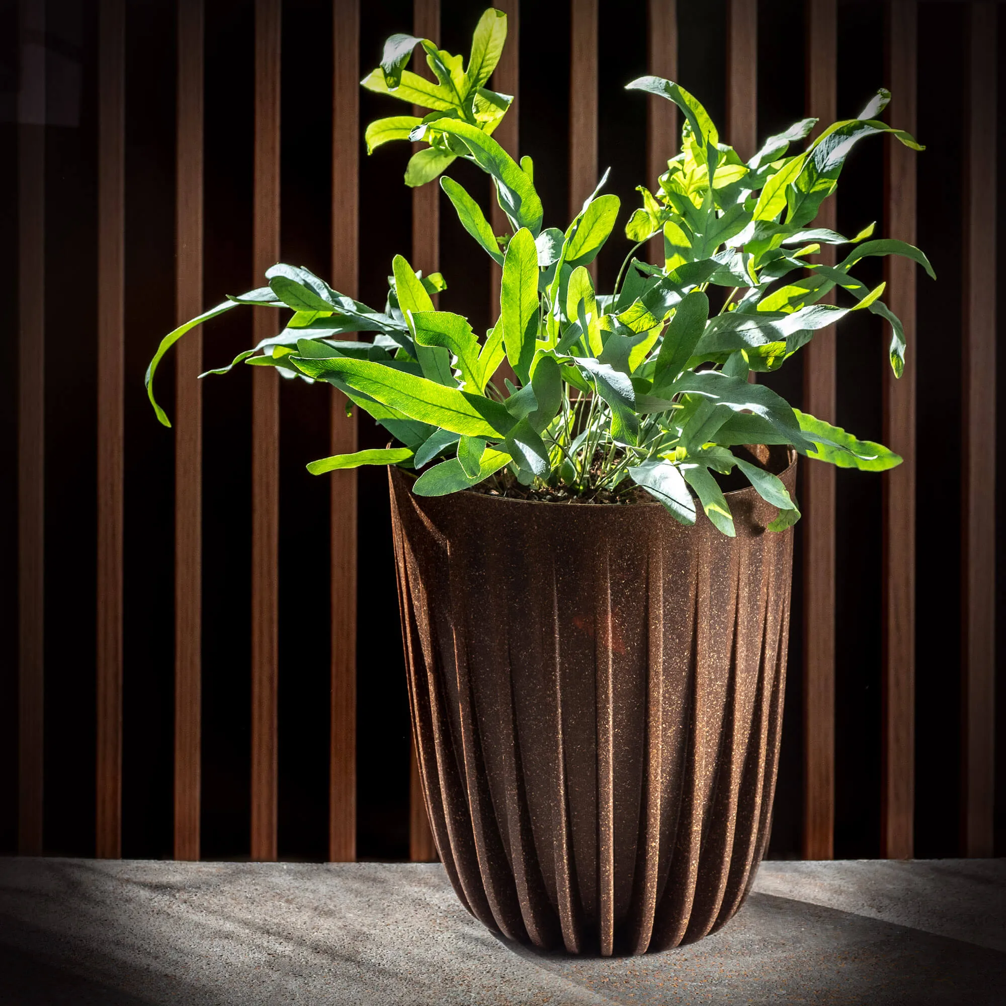 Costa Eco gėlių vazonas su įdėklu 19 cm
