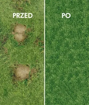 Barenbrug SOS Quick Repair regeneruojamoji žolė 15 kg