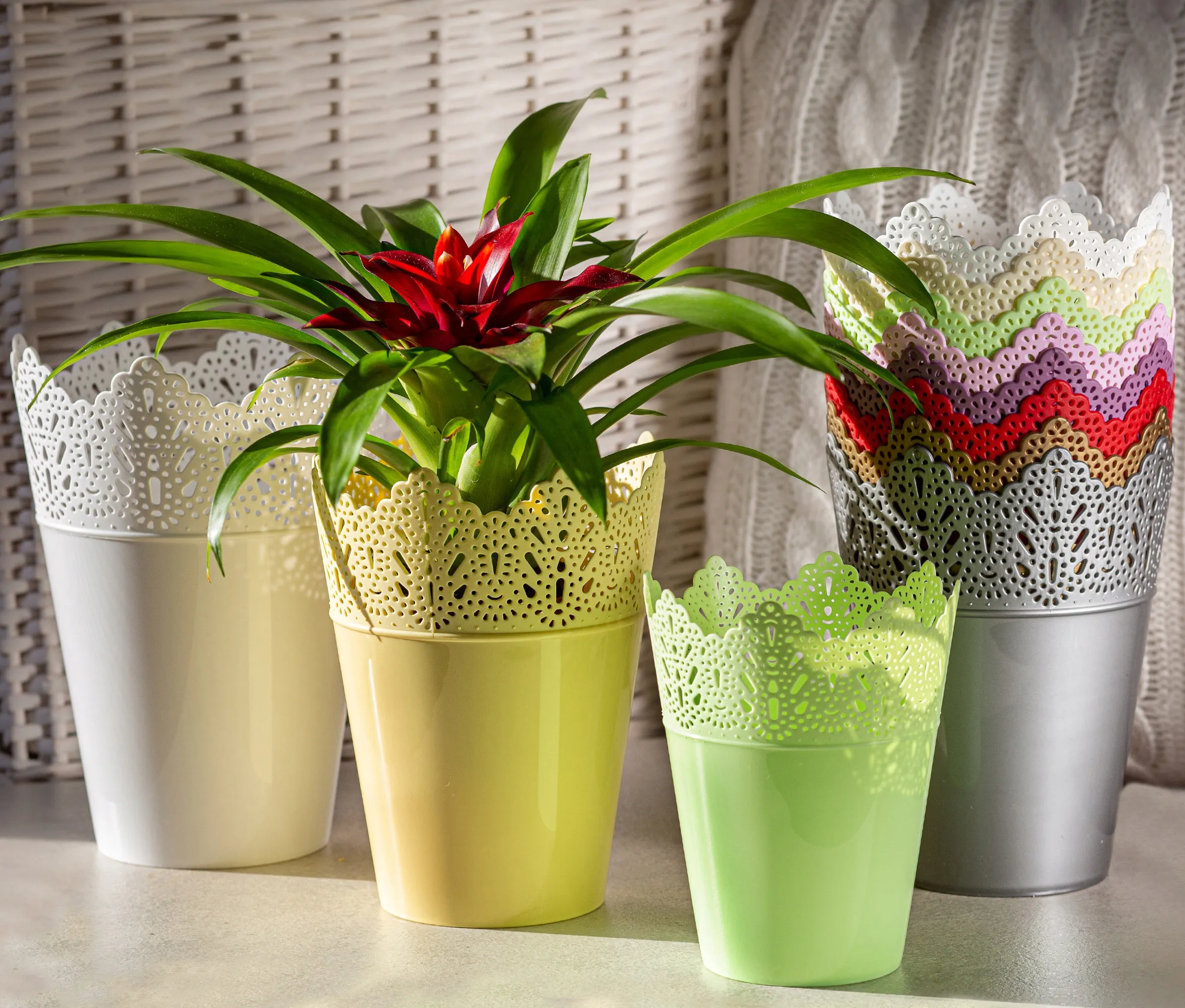 Calade gėlių vazonas su nėriniais 12 x 15 cm