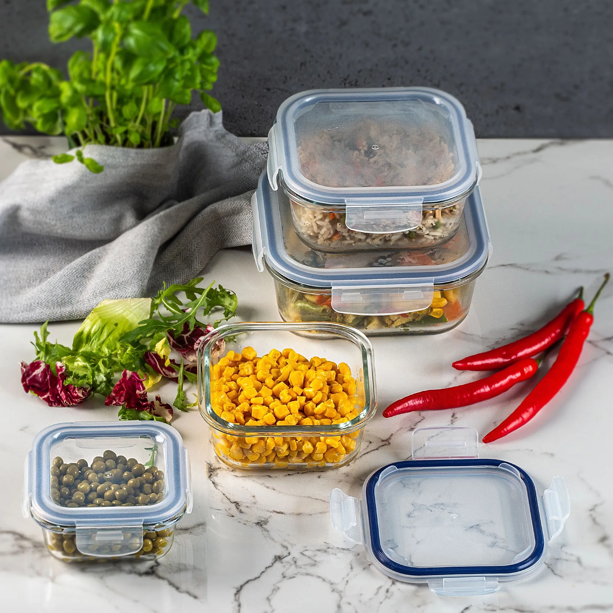 „Athie“ 800 ml kvadratinis stiklinis maisto indas