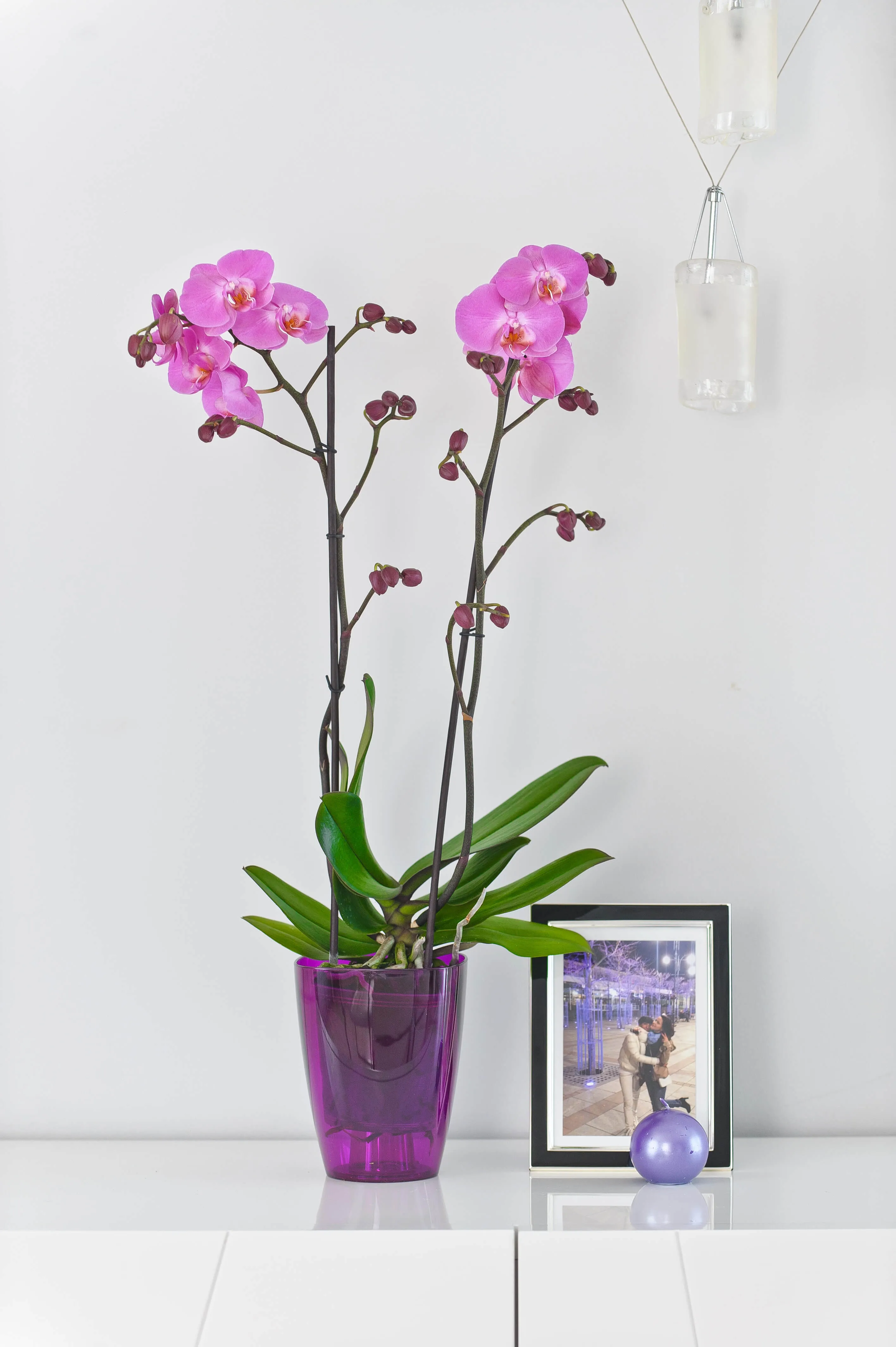 Menfi kvadratinis vazonas 12 cm