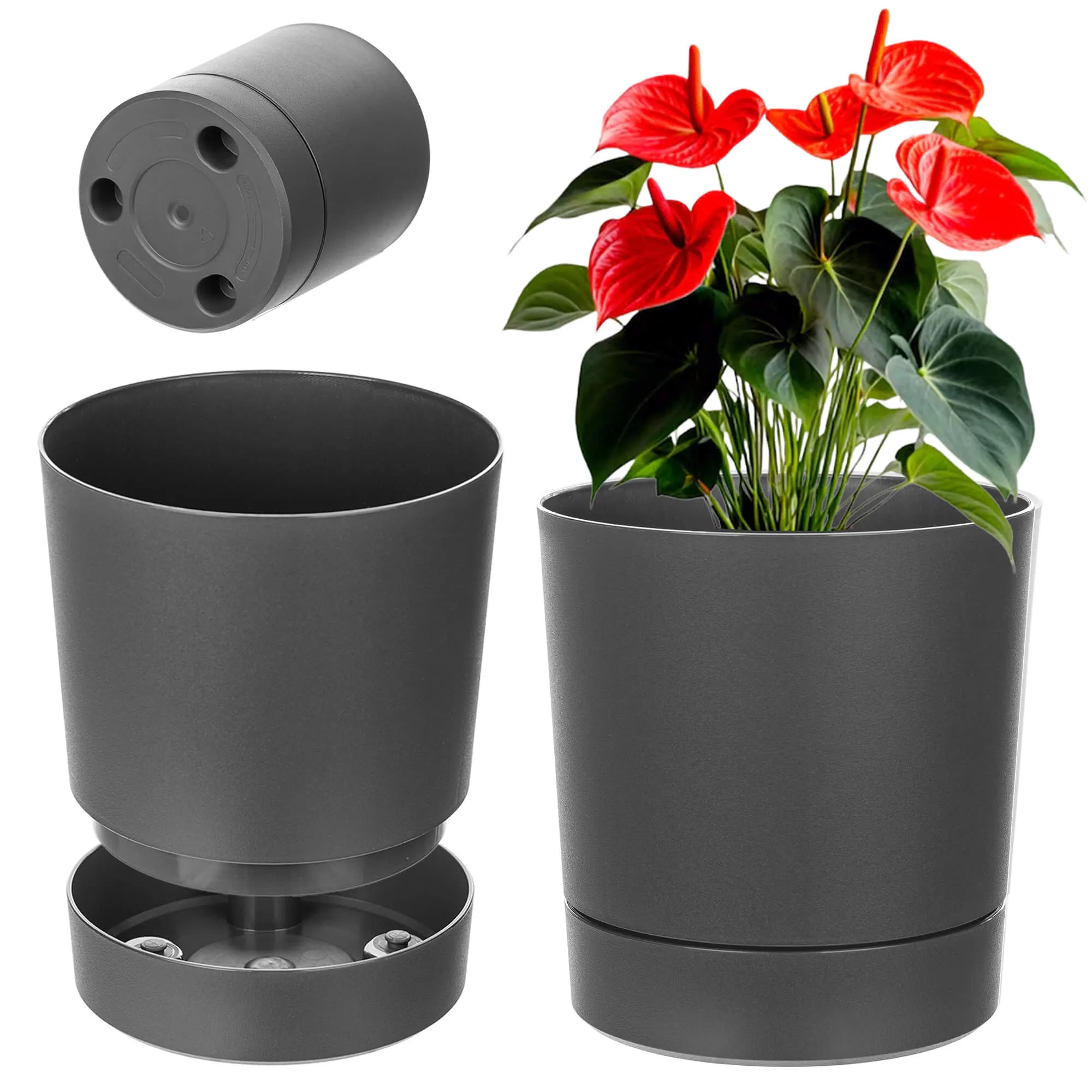 Verri vazonas su lėkštute 14