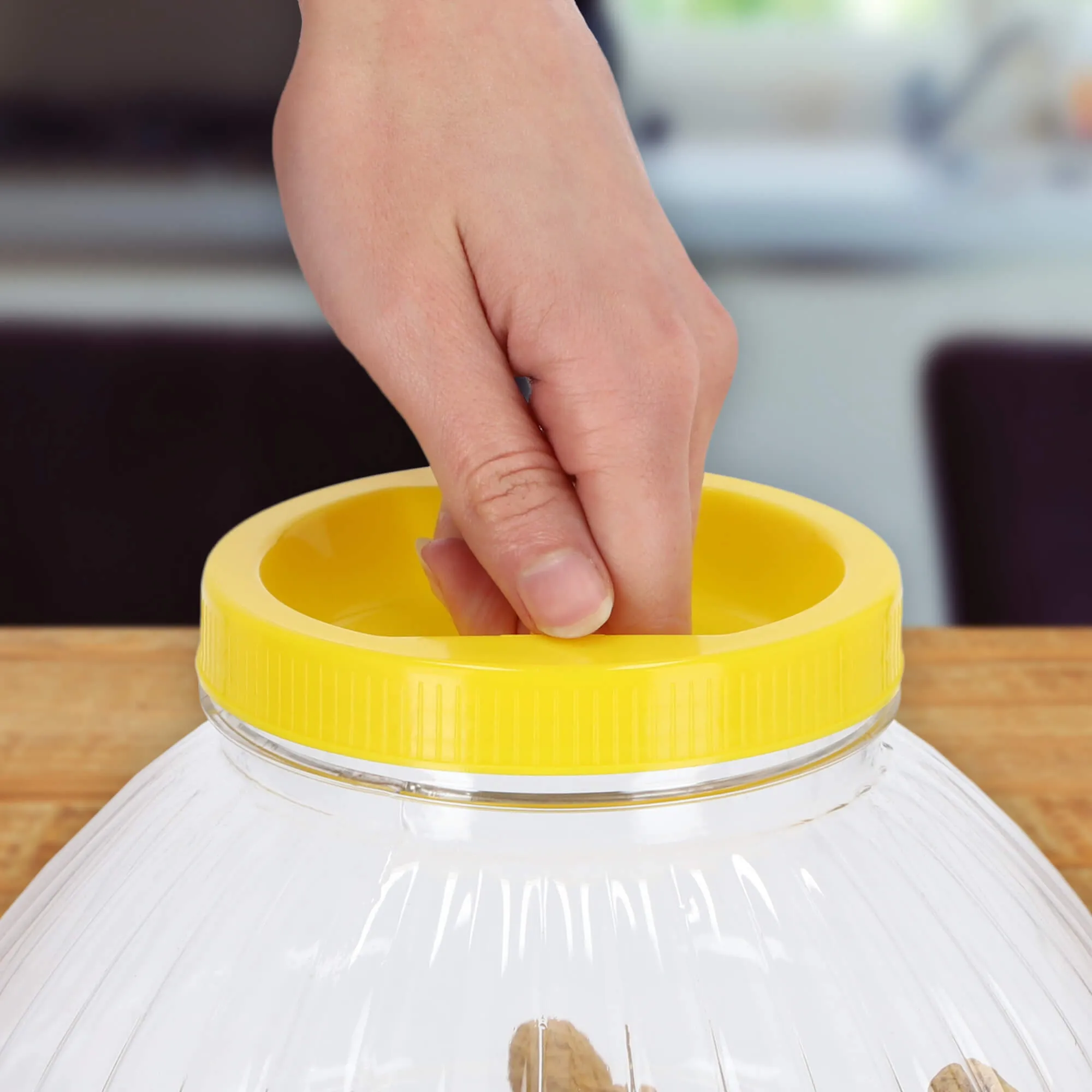 Plastikinis indas agurkams su dangteliu, 5 l