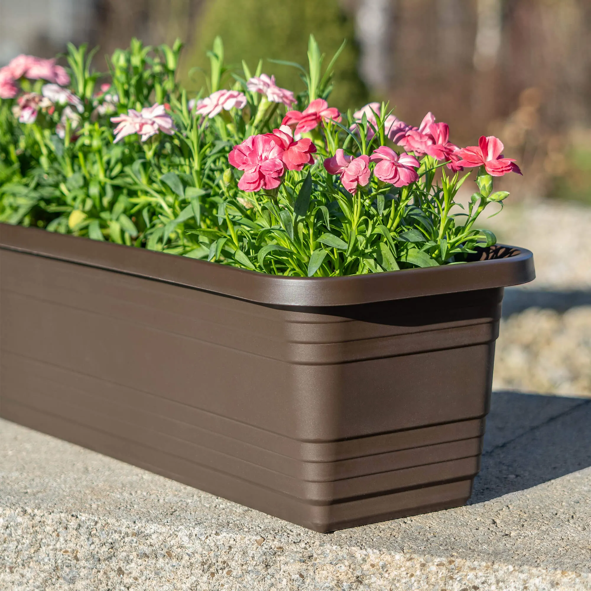 Paulin balkono dėžutė 60 cm moka