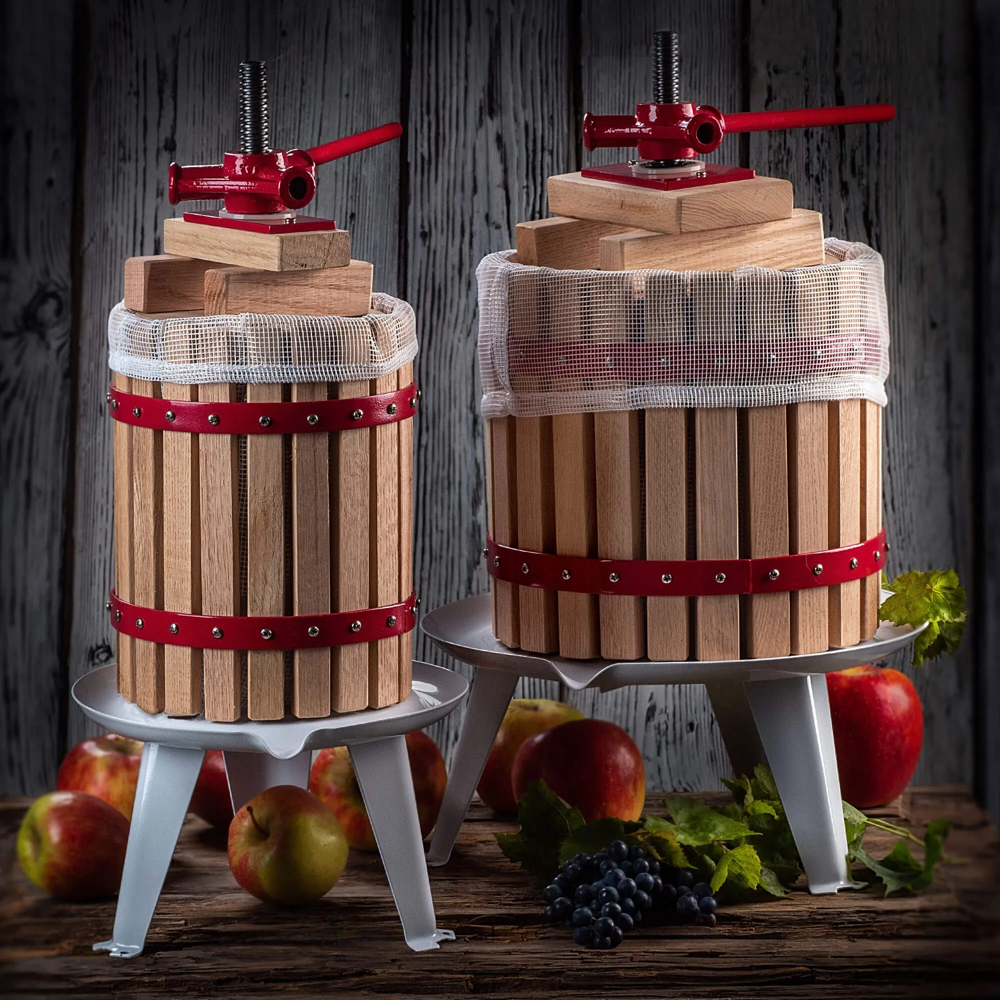 Silba vaisių sulčiaspaudė su filtru, 6 l