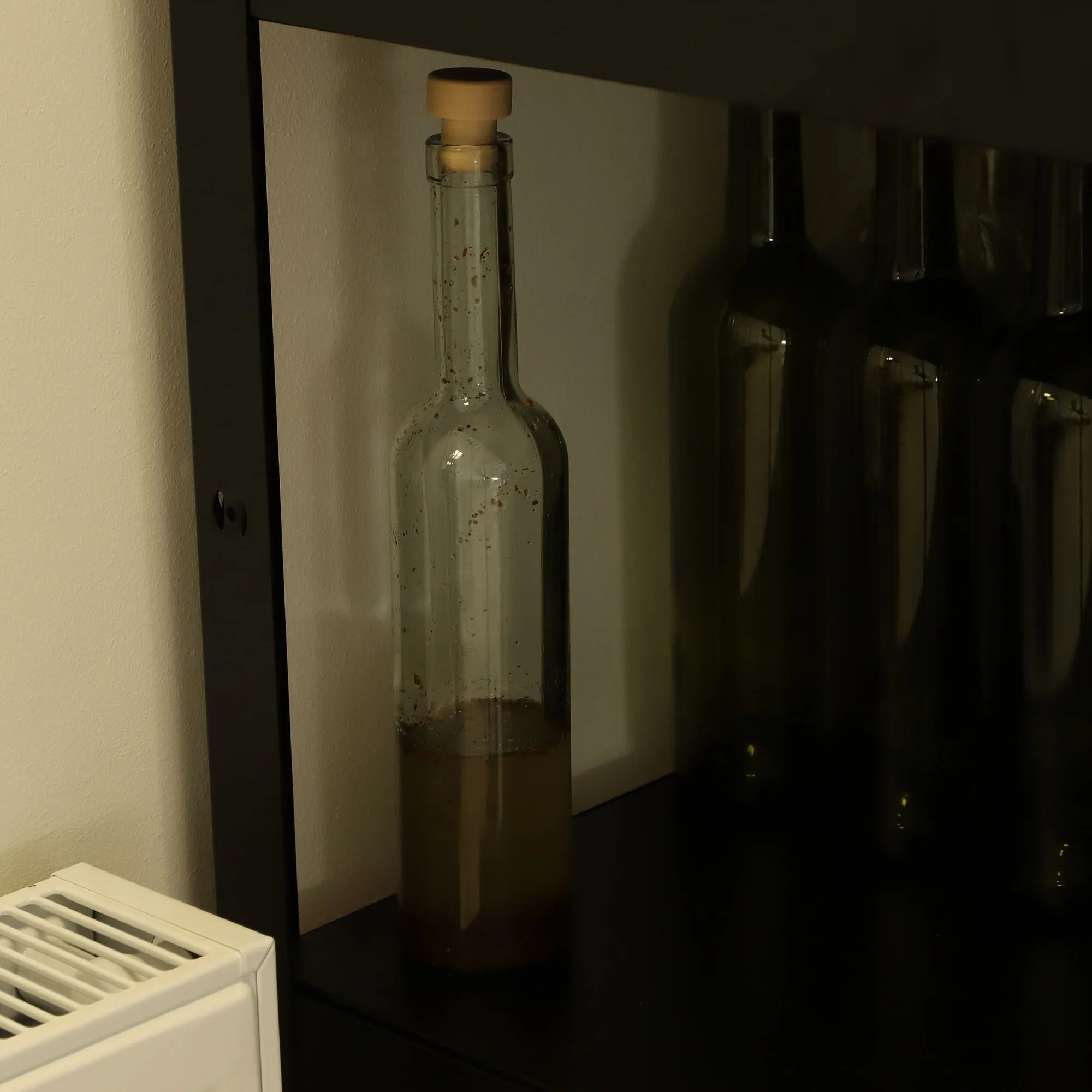 Vyno mielių maistinė medžiaga, 5 g