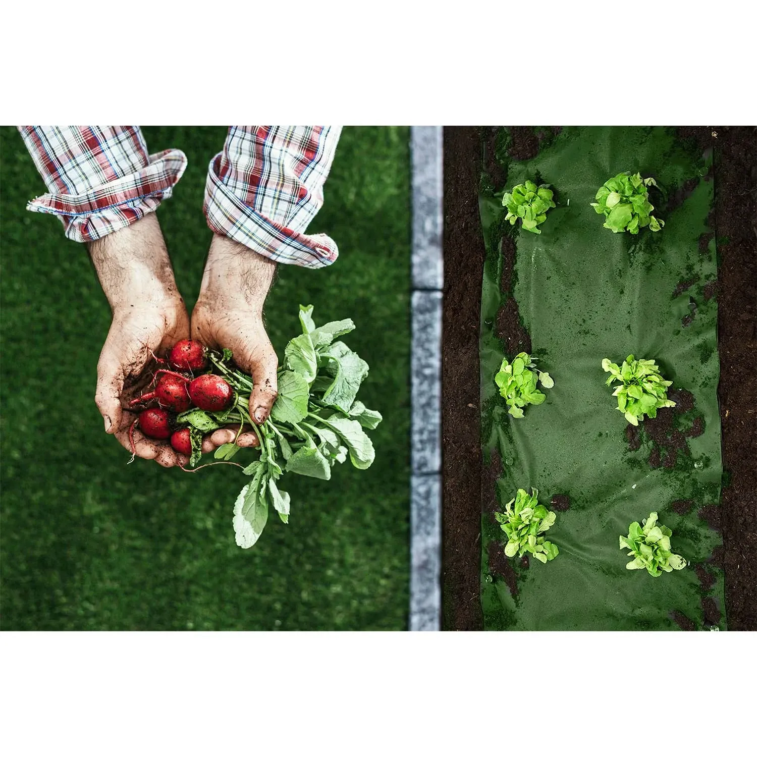 Sodo agrotekstilė 1,6 m x 50 m 90 g/m2 + 100 „Plonos“ smeigtukų - juoda ir žalia - nuotrauka 1