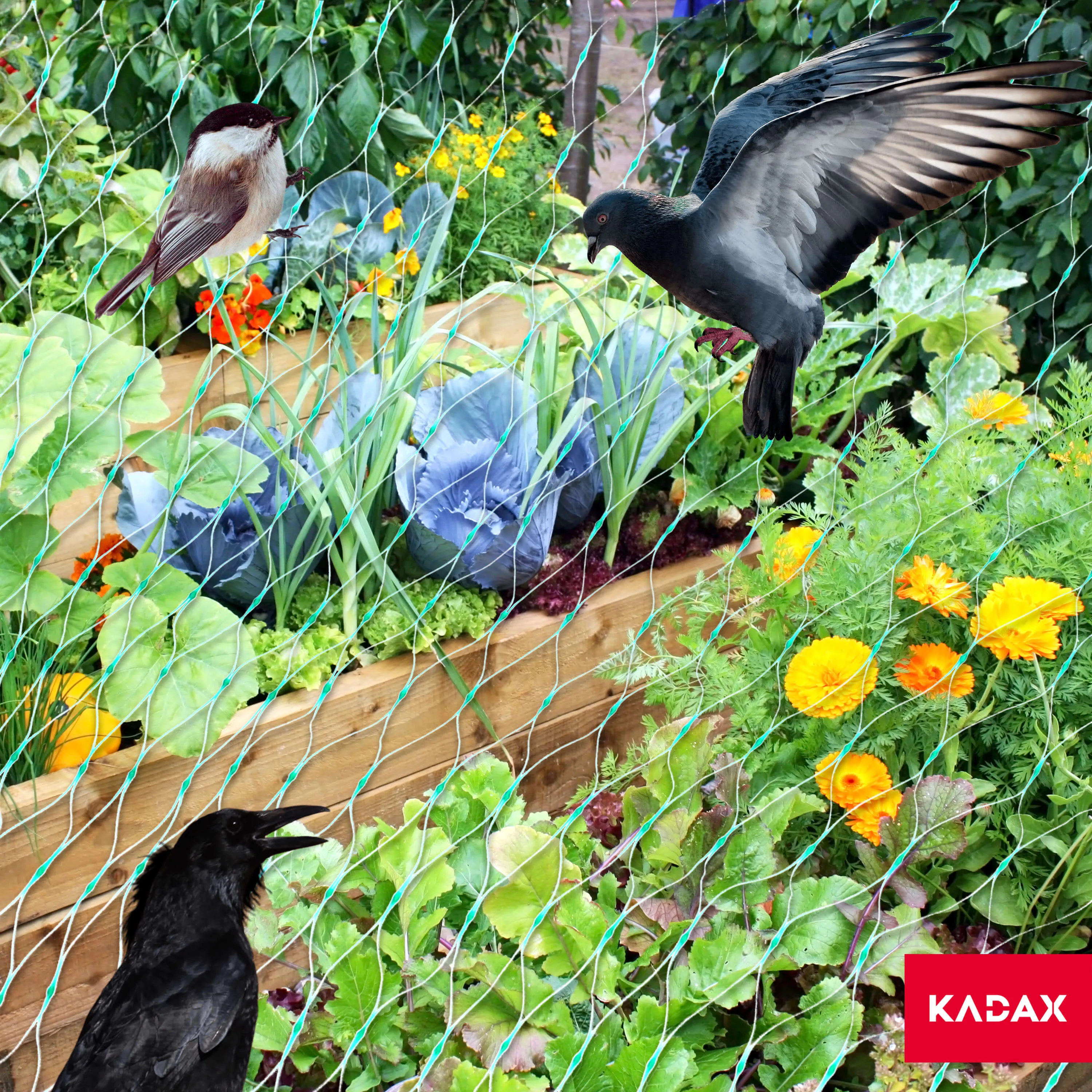 Trivio paukščių apsaugos tinklas 8 x 50 m