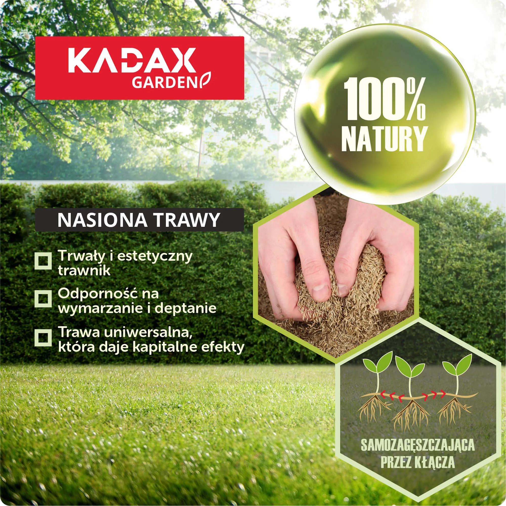 Universali savaime sutankinanti žolė 10 kg