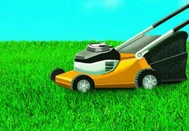 Barenbrug Shadow&Sun 5 kg pavėsiui ir saulei atspari žolė