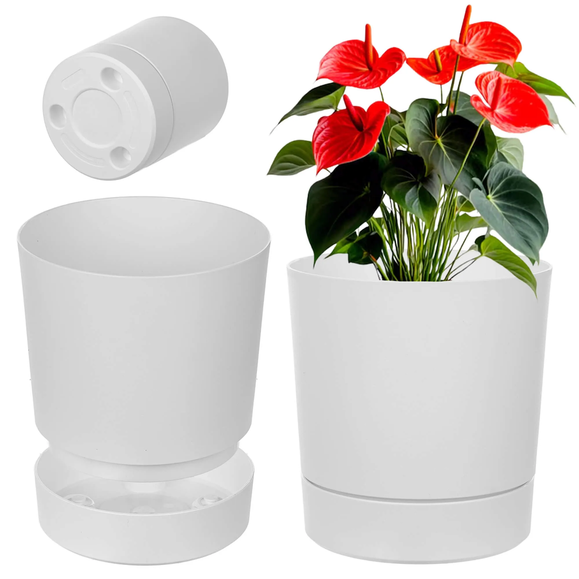 Verri vazonas su lėkštute