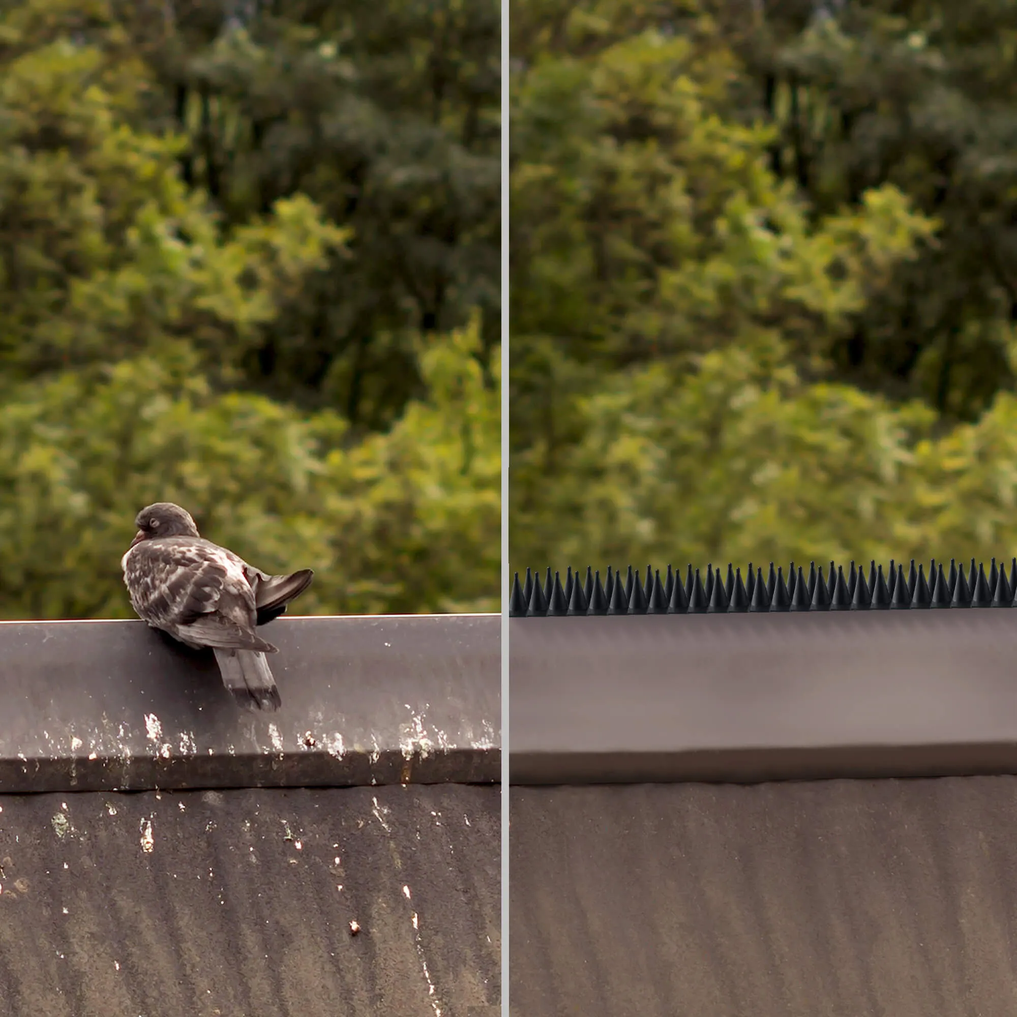 Tosta plastikiniai spygliai nuo paukščių, 50 cm, pilki, 10 vnt.