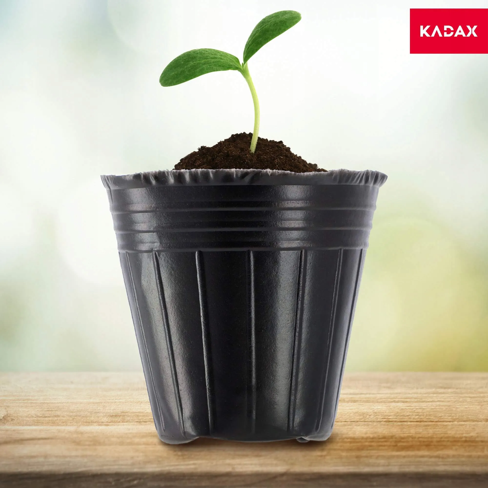 Daigų vazonėliai 7 x 7 cm + 9 x 8 cm, 200 vnt.