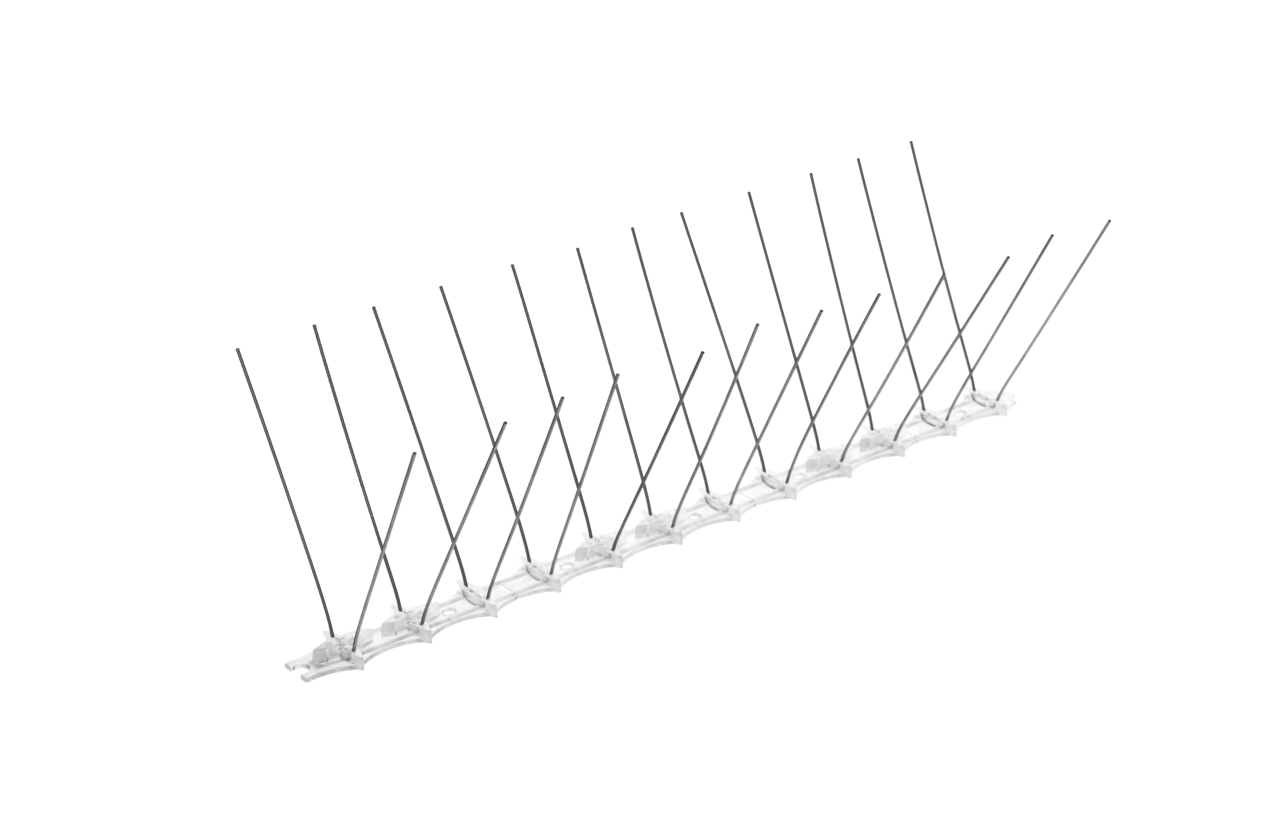 Paukščių spygliai 10 x 33 cm, 1 vnt., 24 spygliai