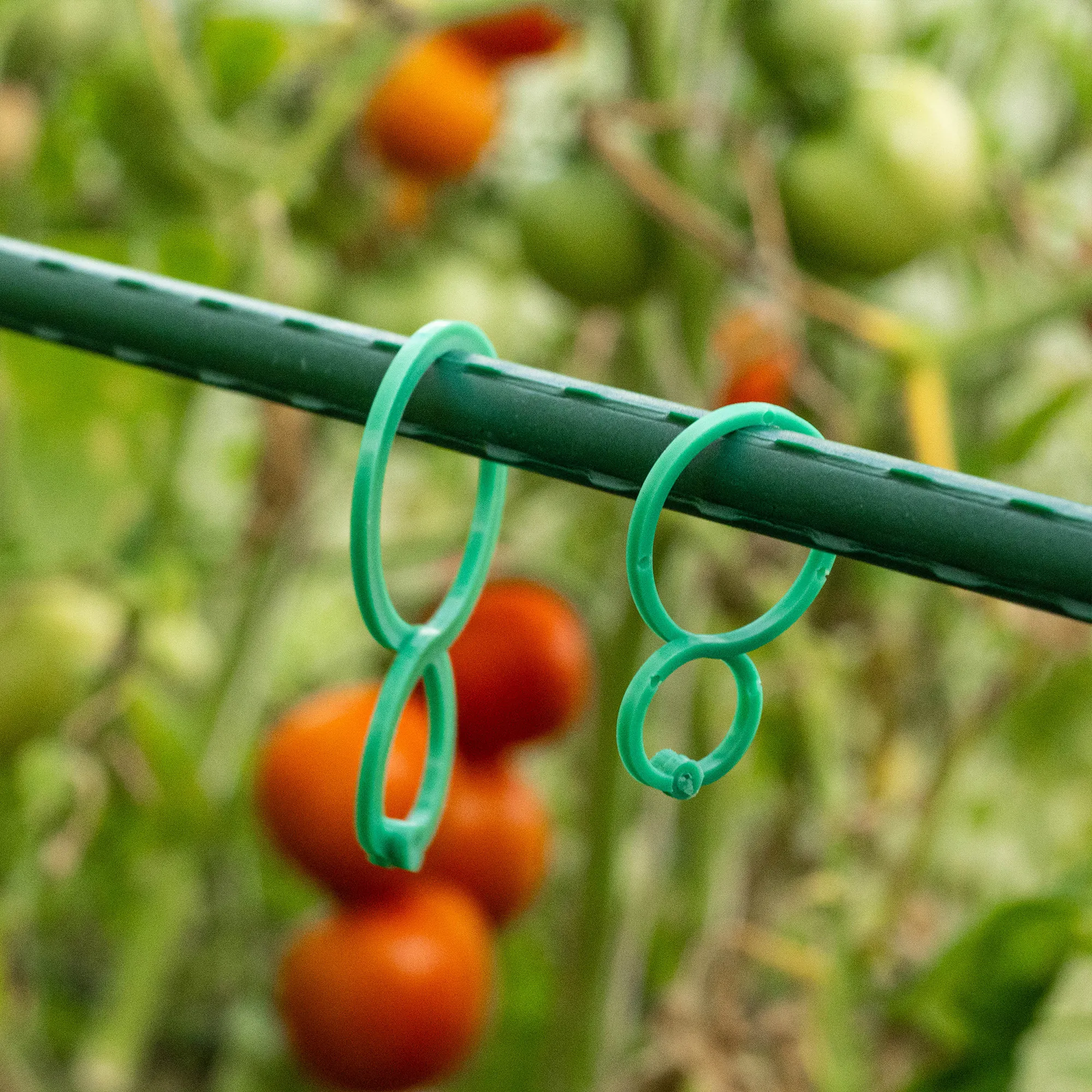 Vionati augalų segtukai žali, 40 vnt., 2 dydžiai