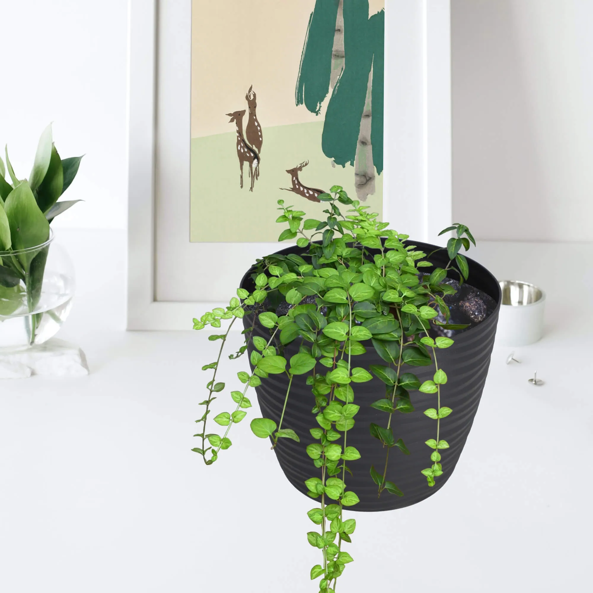 Apvalus gėlių vazonas su lėkštute 15 cm