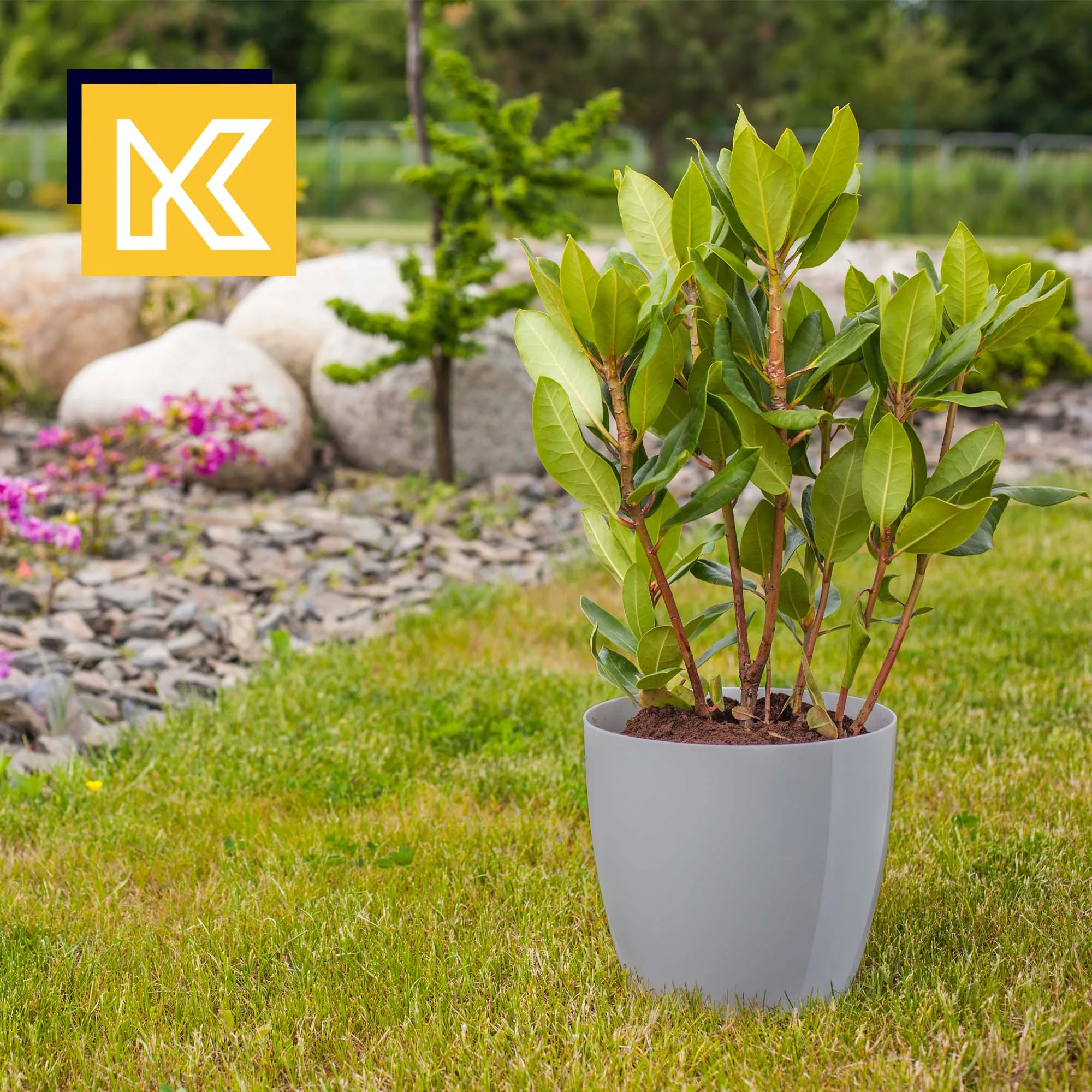 Agen vazonas su lėkštute, pilkas, 18 cm, 3 vnt.