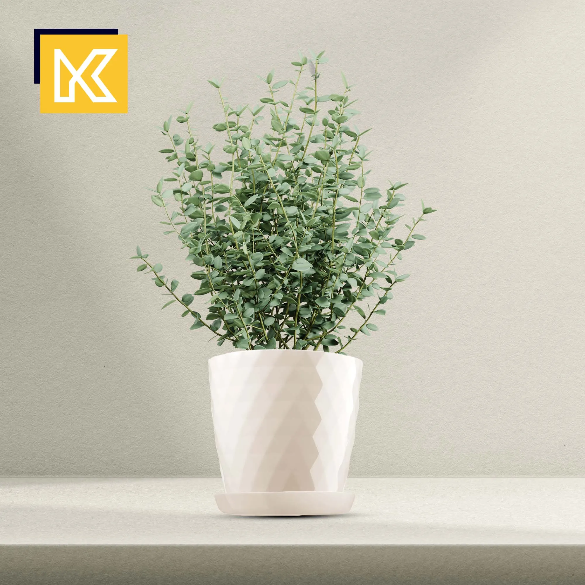 Gėlių vazonas su lėkštute kreminės spalvos Amily 20 cm, 3 vnt.