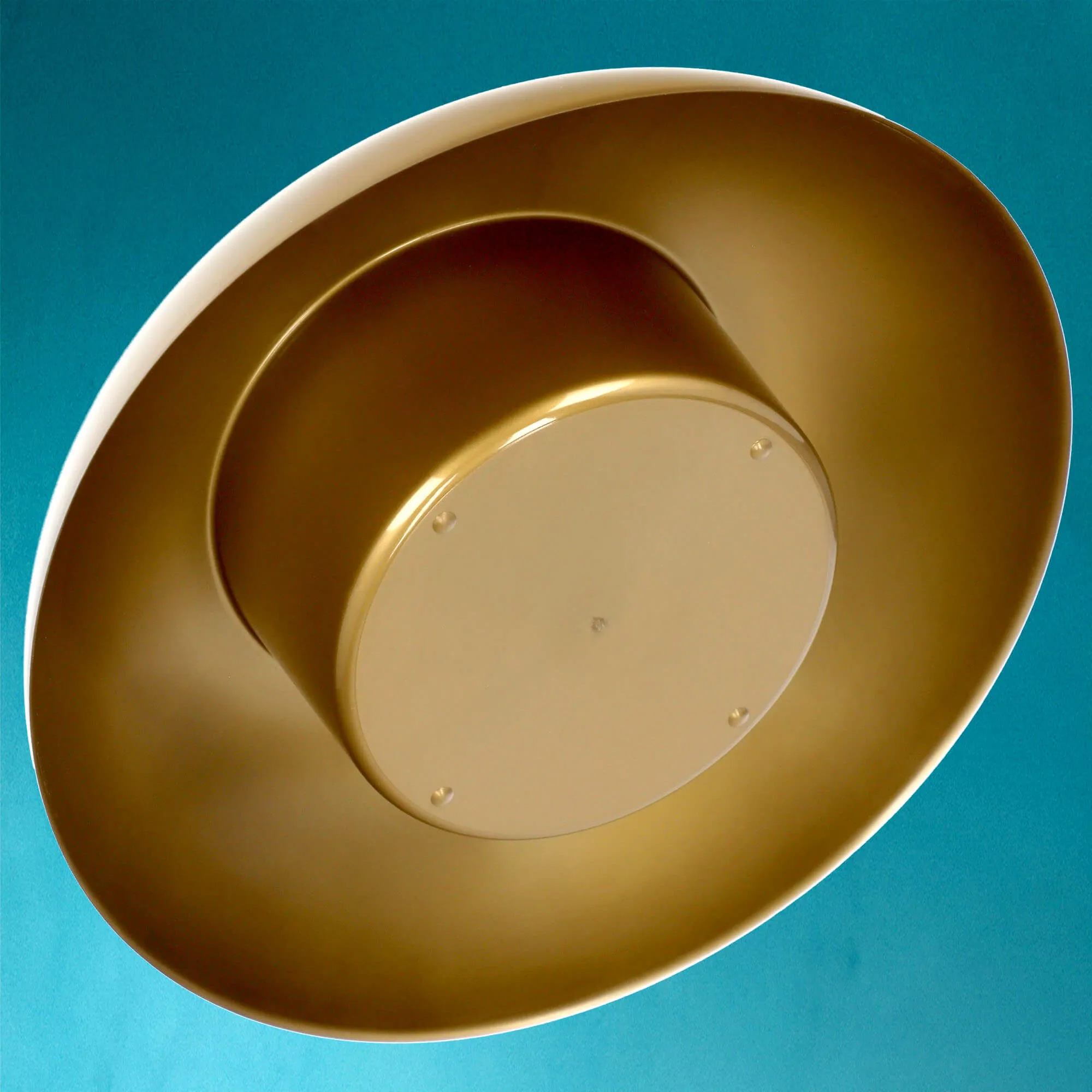 Ikebana gėlėms
