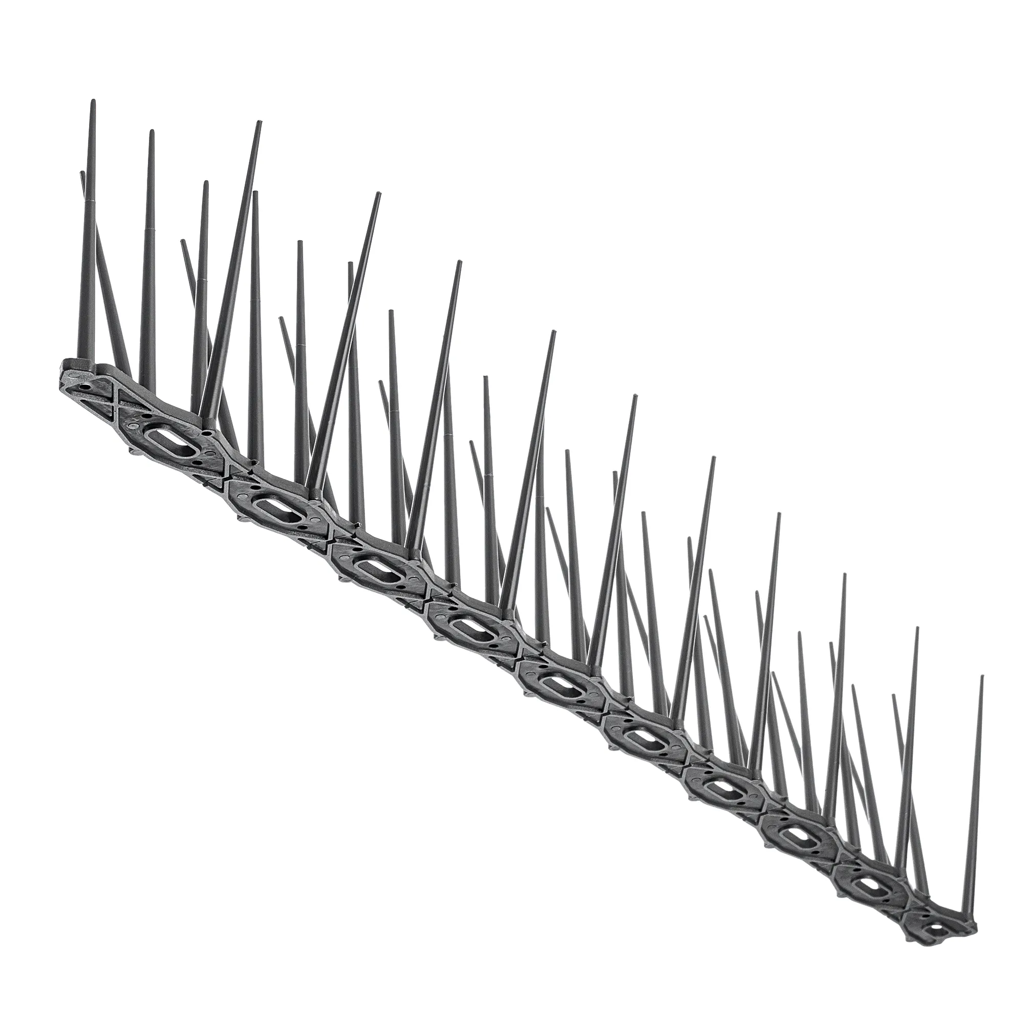 „Dierre“ paukščių atbaidymo spygliai, antracito spalvos, 50 vnt.