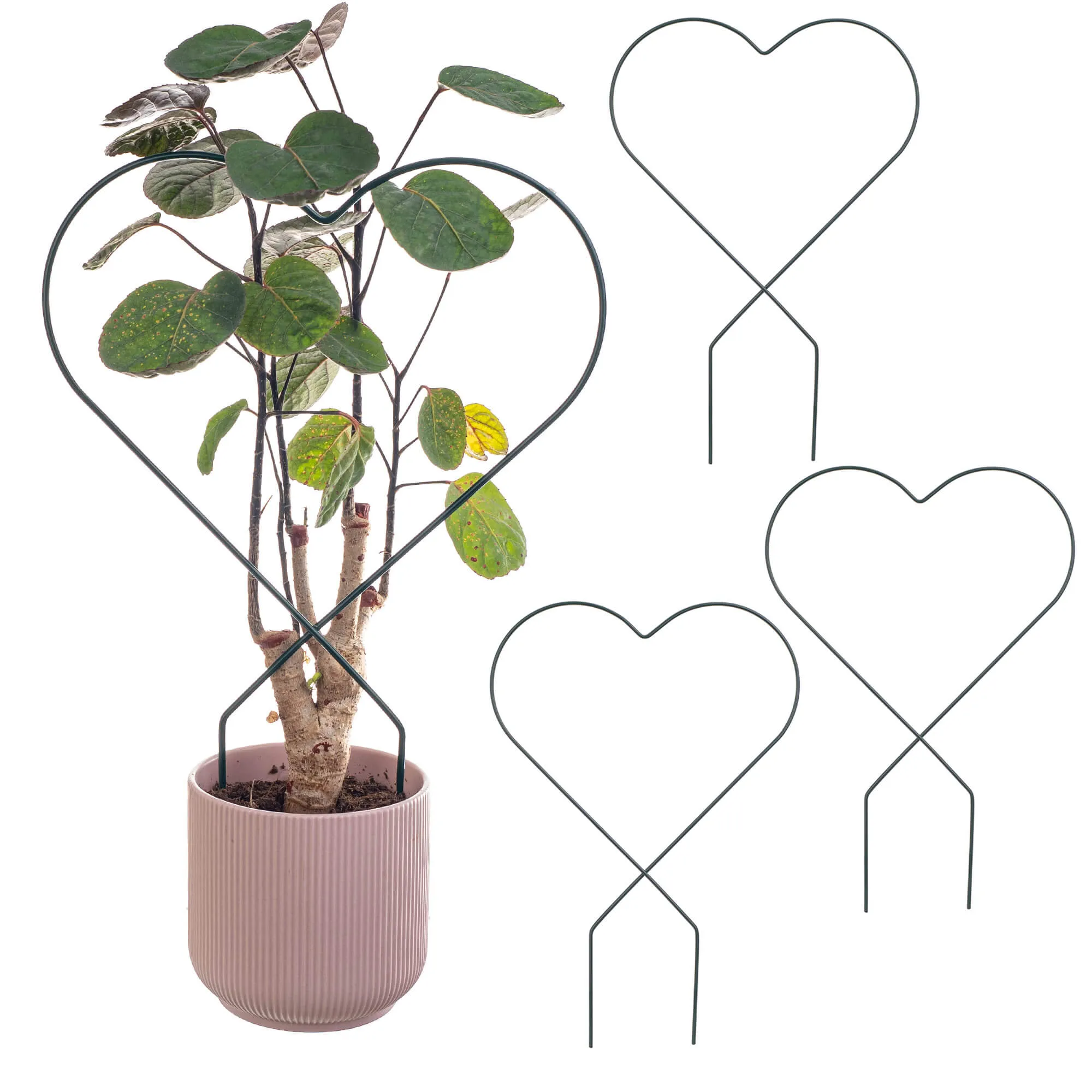 Fora širdies formos puodo laikikliai, 3 vnt.