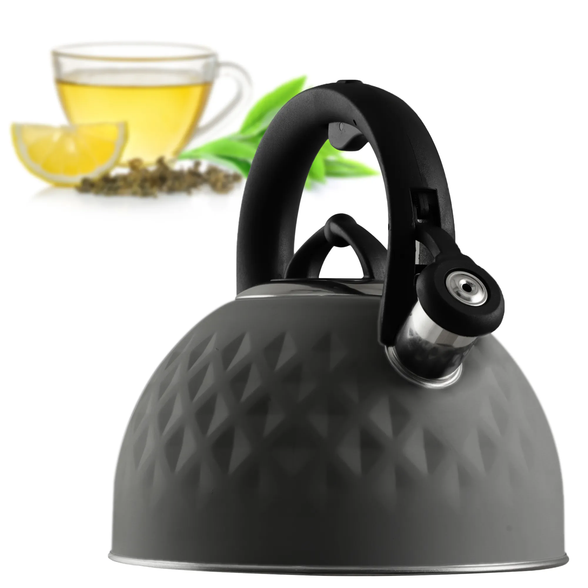 „Artaix“ 2,5 l nerūdijančio plieno virdulys, pilkas