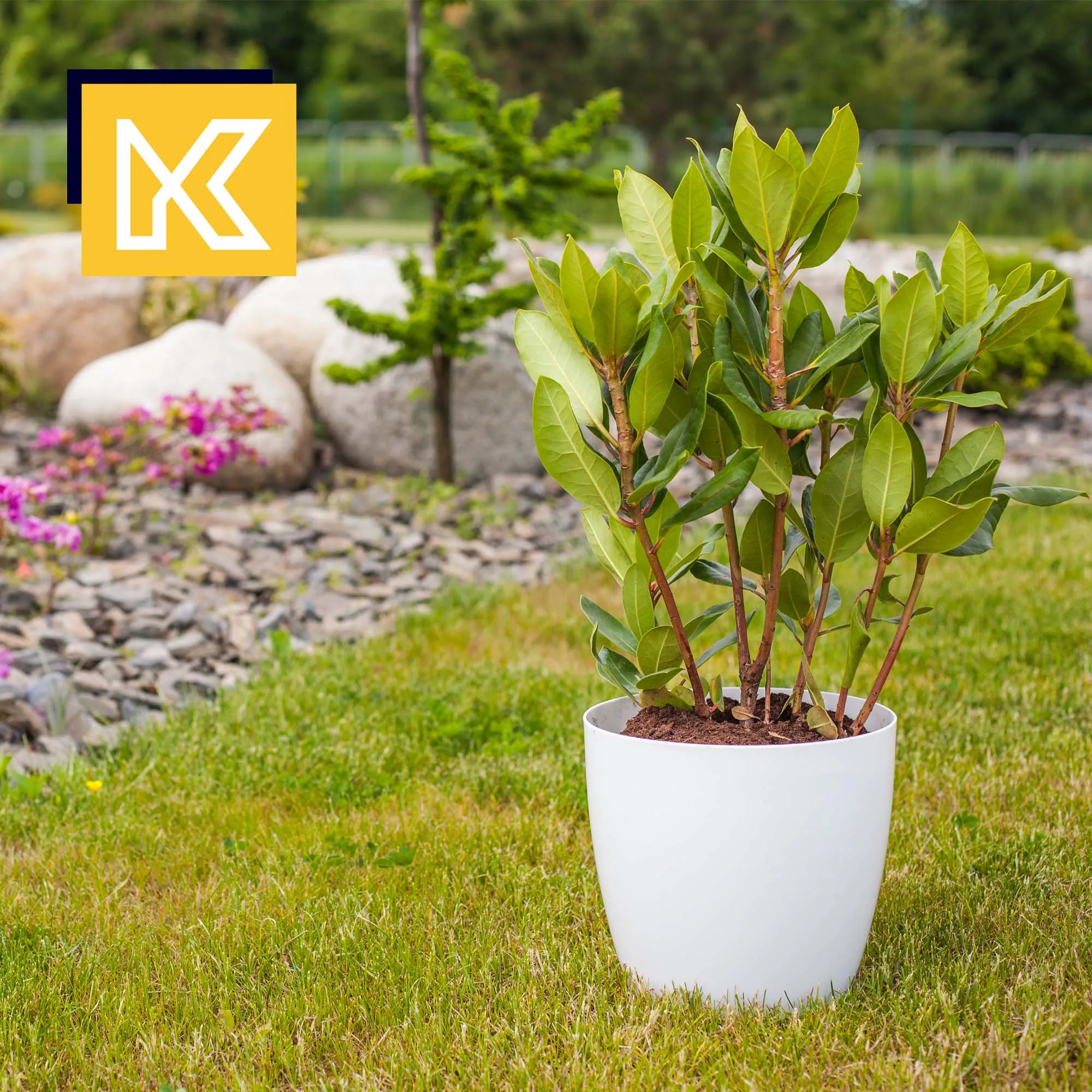 Agen vazonas su lėkštute, juodas, 23 cm, 3 vnt.