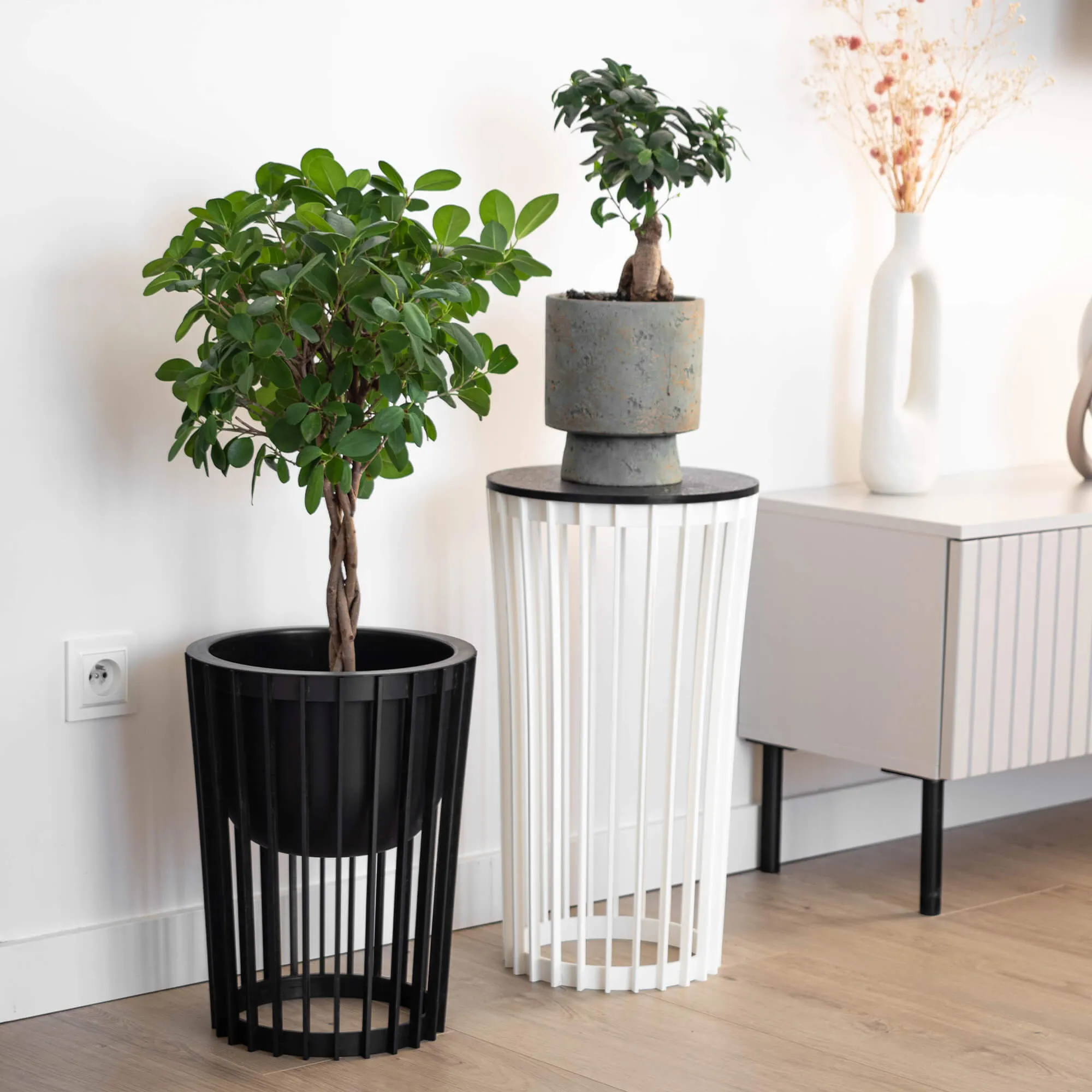 Aytre dvipusis augalų stovas 54 cm juodas + juodas stalviršis