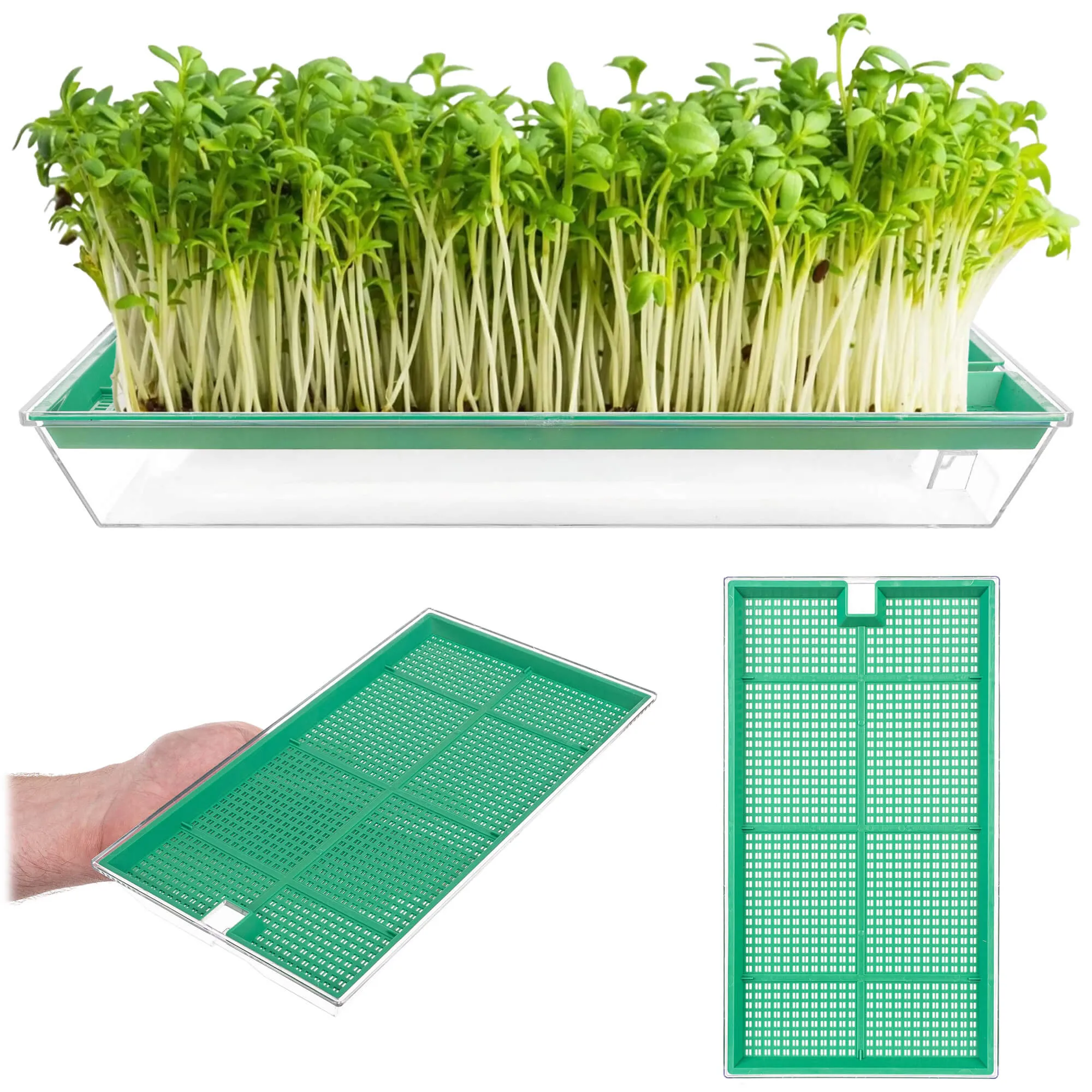 Clion daiginimo įrenginys didelis 27 x 15 cm žalias