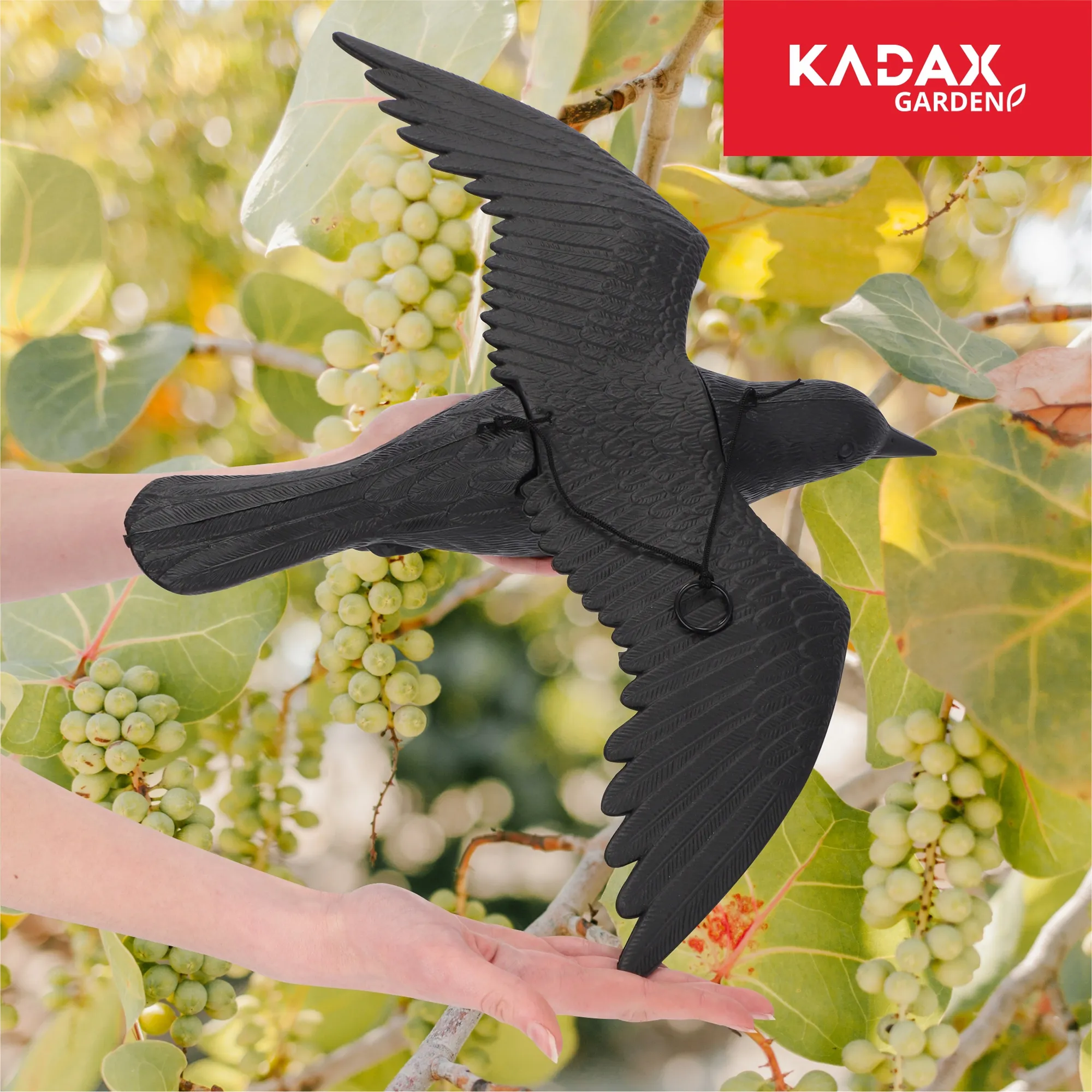 Juodasis varnas, balandžių baidyklė 2 vnt.