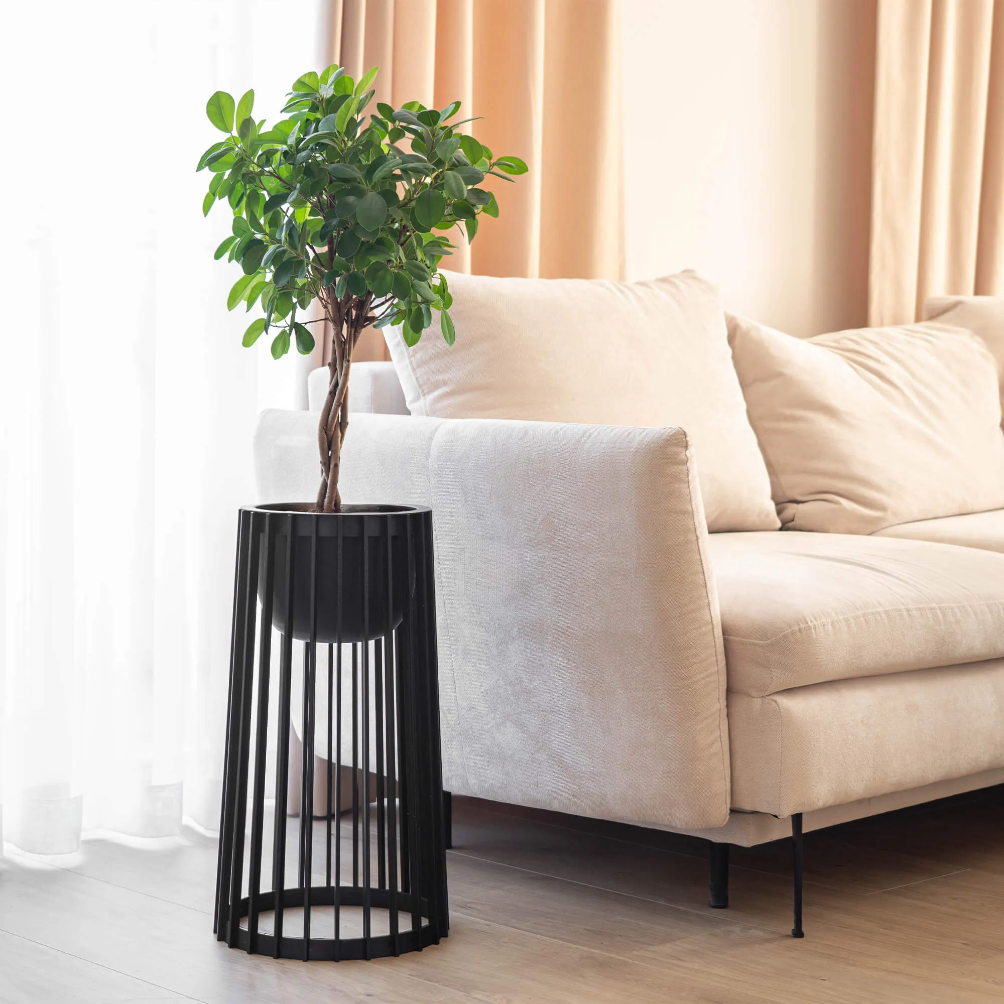 Aytre dvipusis augalų stovas 54 cm juodas + 2 įdėklai