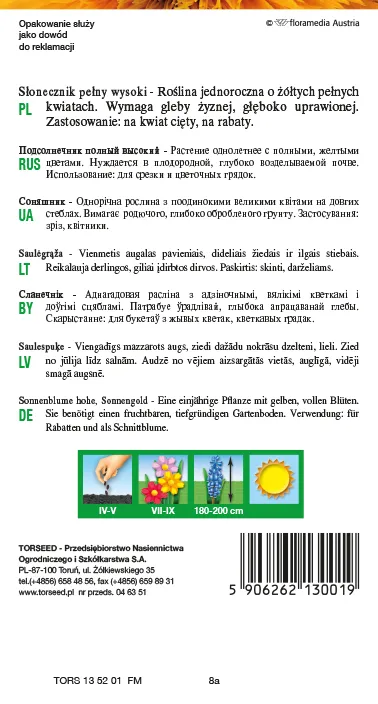 Žydintis saulėgrąžos žiedas – Helianthus annuus aukštaūgis – geltonas 2g