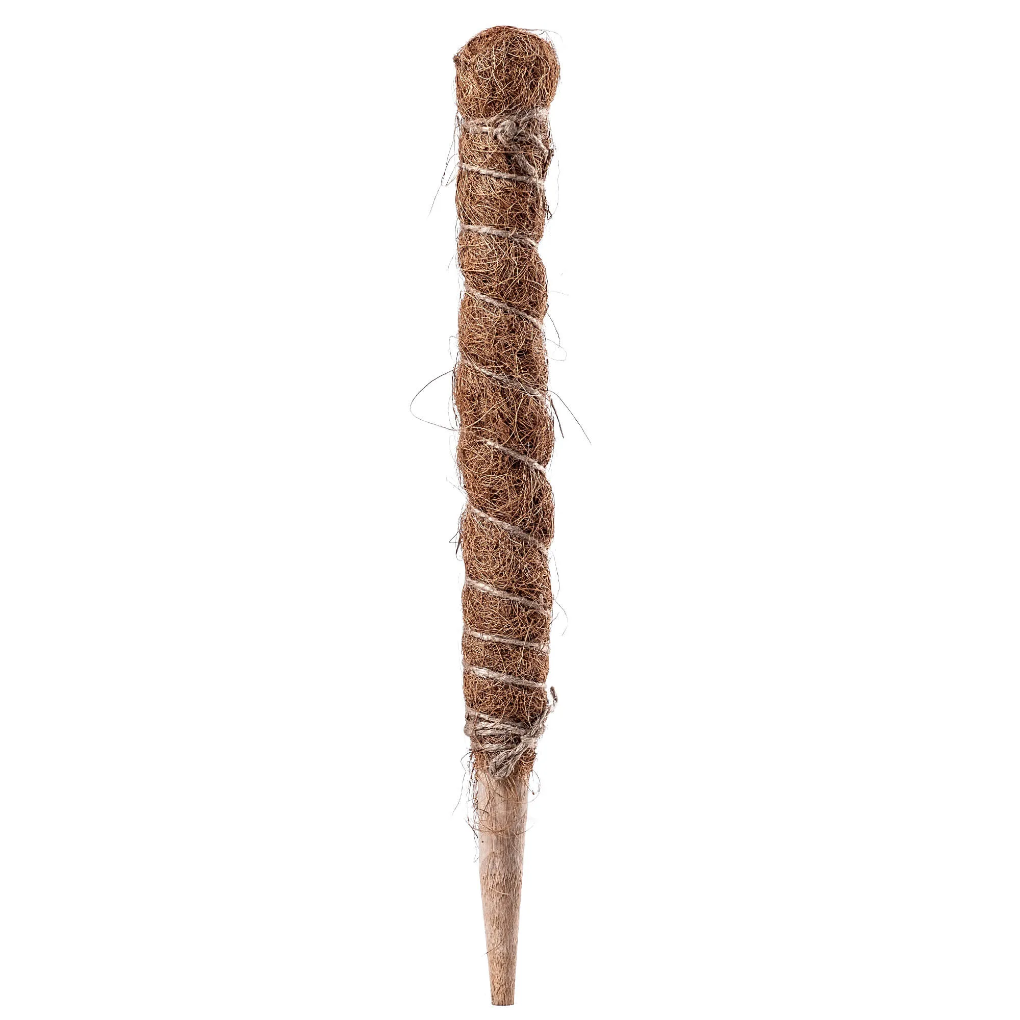 „Cande“ kokoso augalo kuolas, 45 cm, vazono atrama, 1 vnt.
