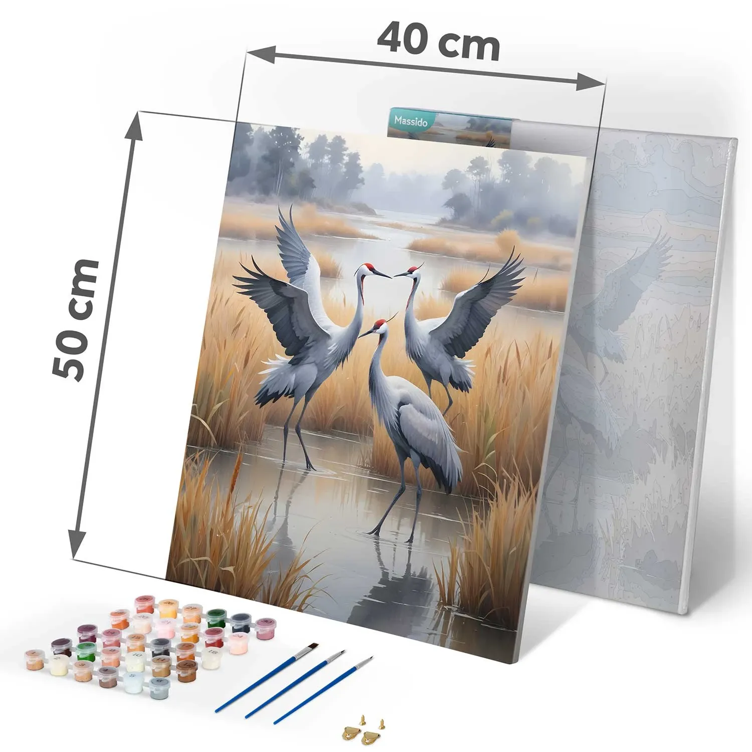 Paveikslas „Tapyba pagal skaičius“ 40x50 cm, Massido Cranes - nuotrauka 1