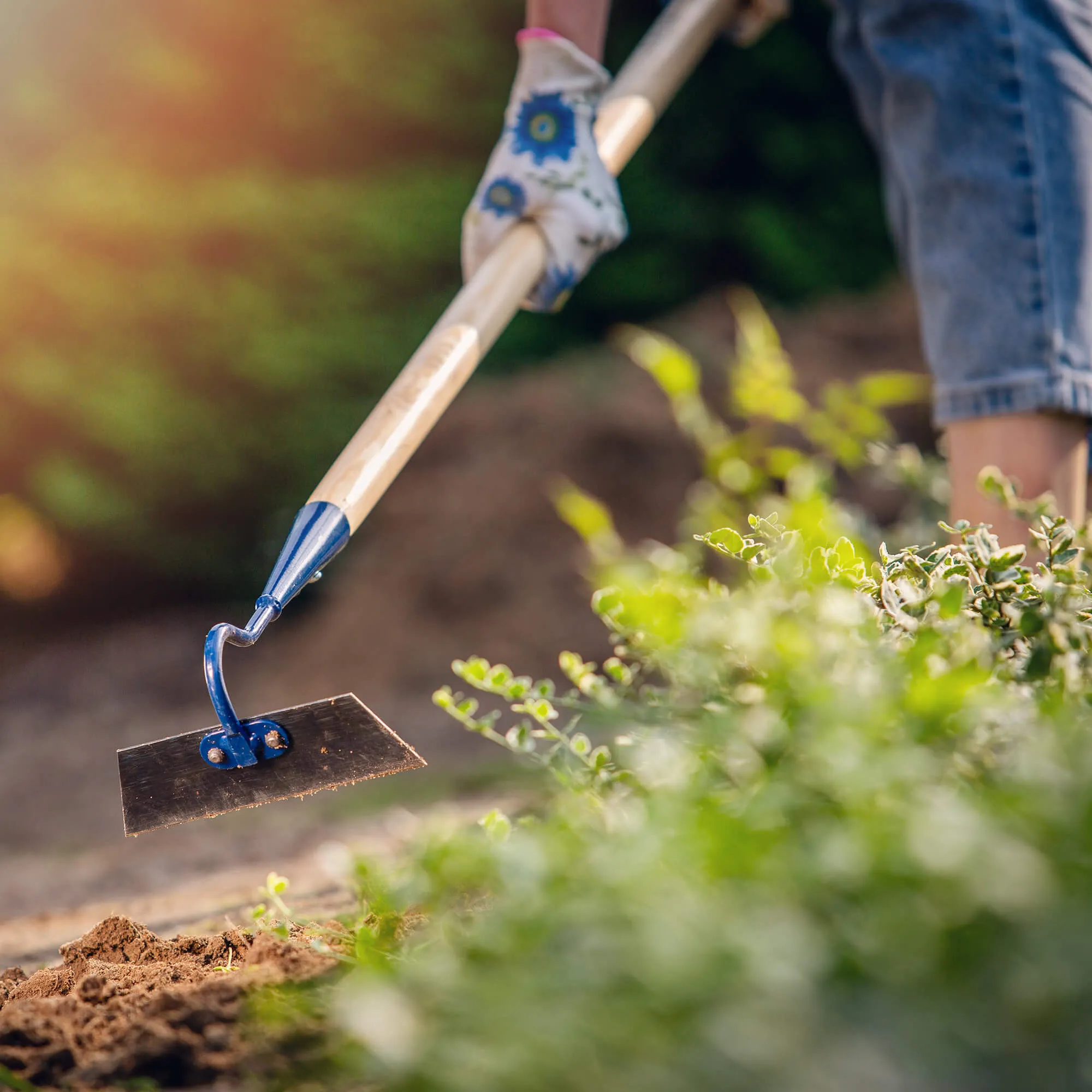 Doville sodo kauptukas 16 x 122 cm, mėlynas