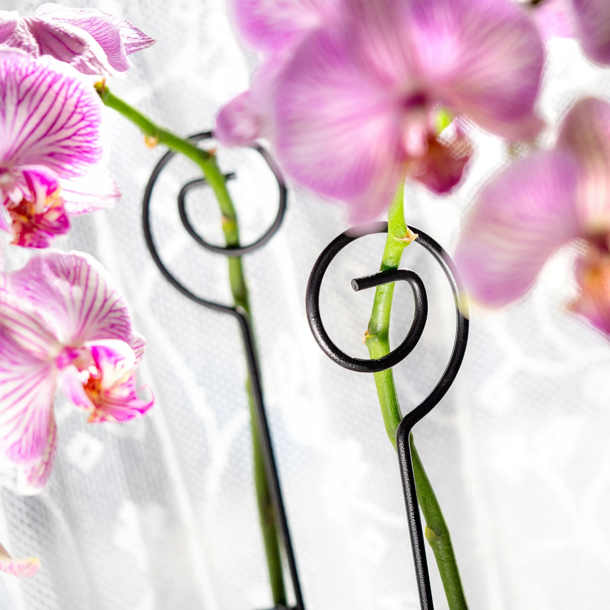 Sylte orchidėjų atramos 50 cm, 10 vnt. spiralės formos