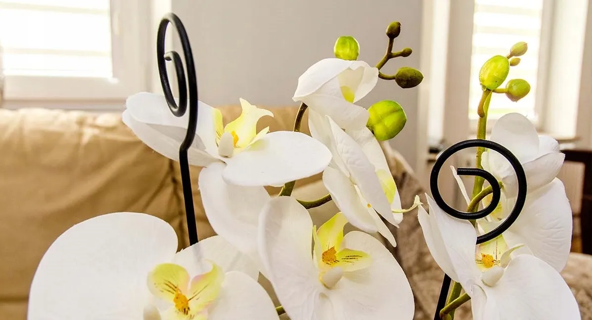 Sylte orchidėjų atramos 50 cm, 10 vnt. spiralės formos