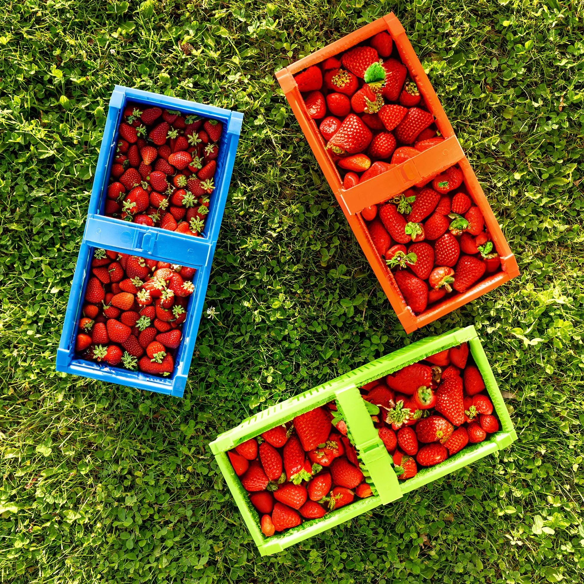 Trito sulankstomas krepšys 40×18 cm mėlynas