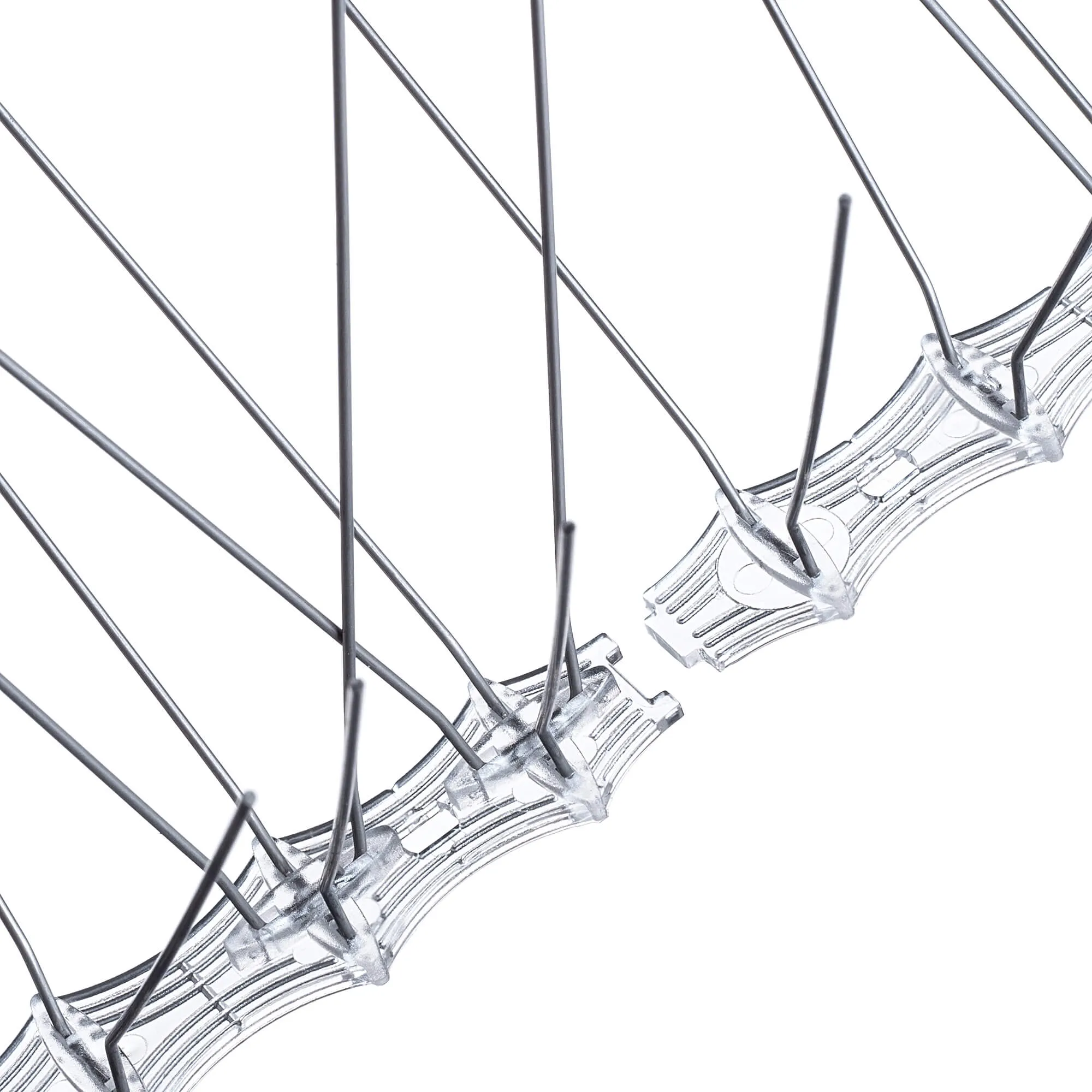 Paukščių spygliai 16 x 33 cm, 1 vnt.