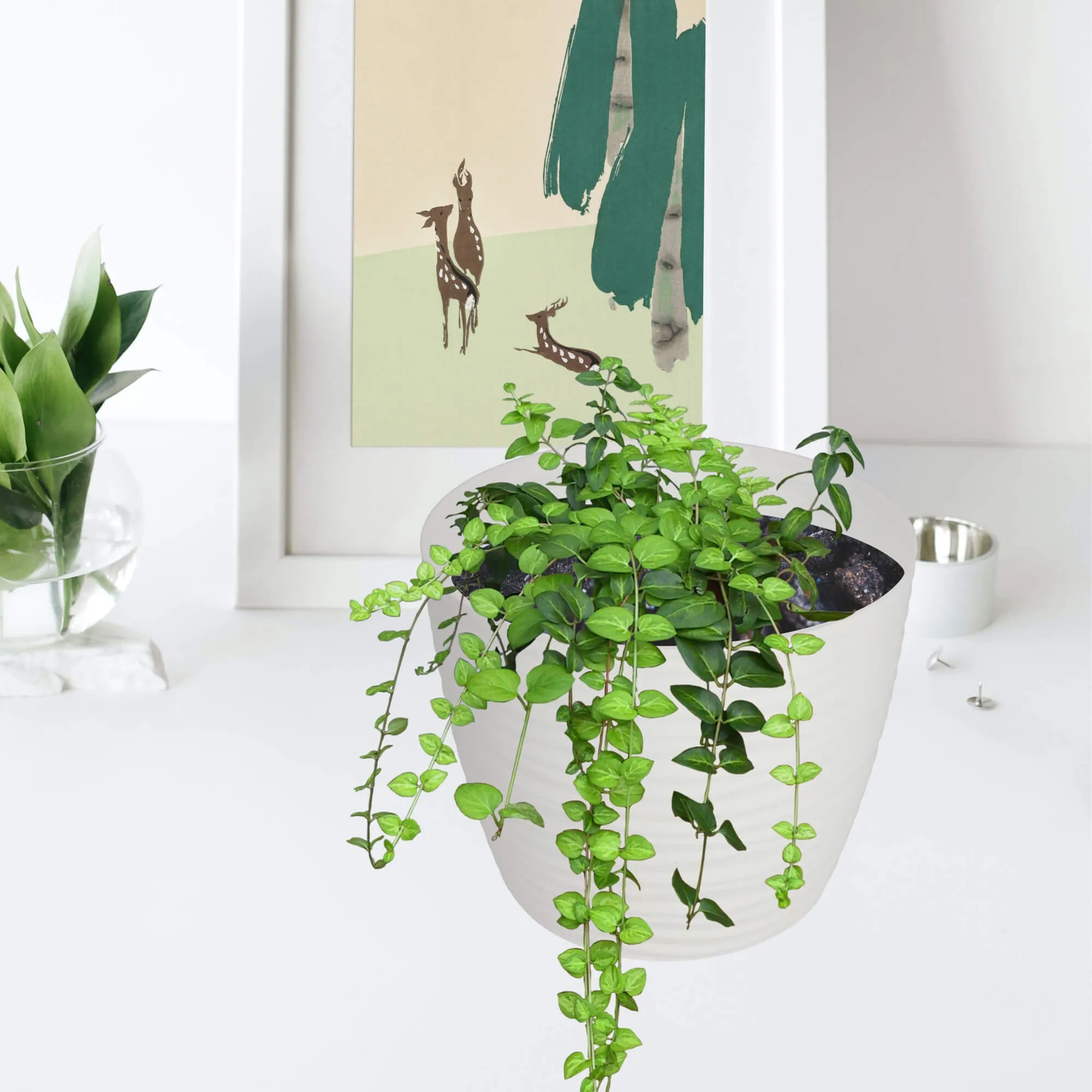 Apvalus gėlių vazonas su lėkštute