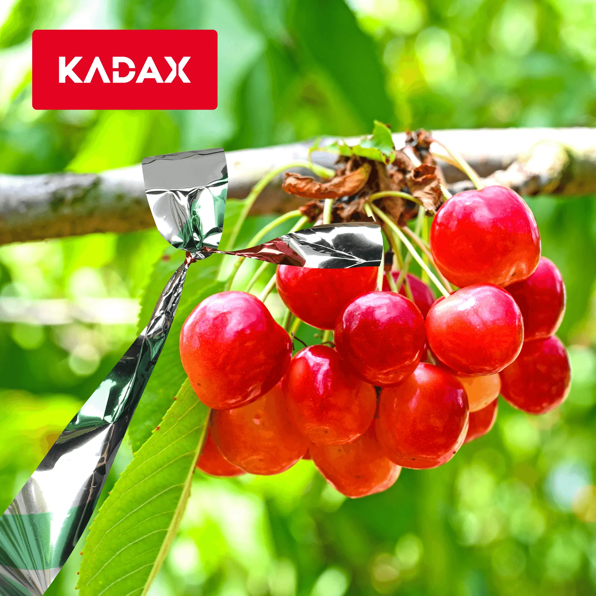 Šviesą atspindinti juosta nuo paukščių 4,8 cm x 50 m, žalia