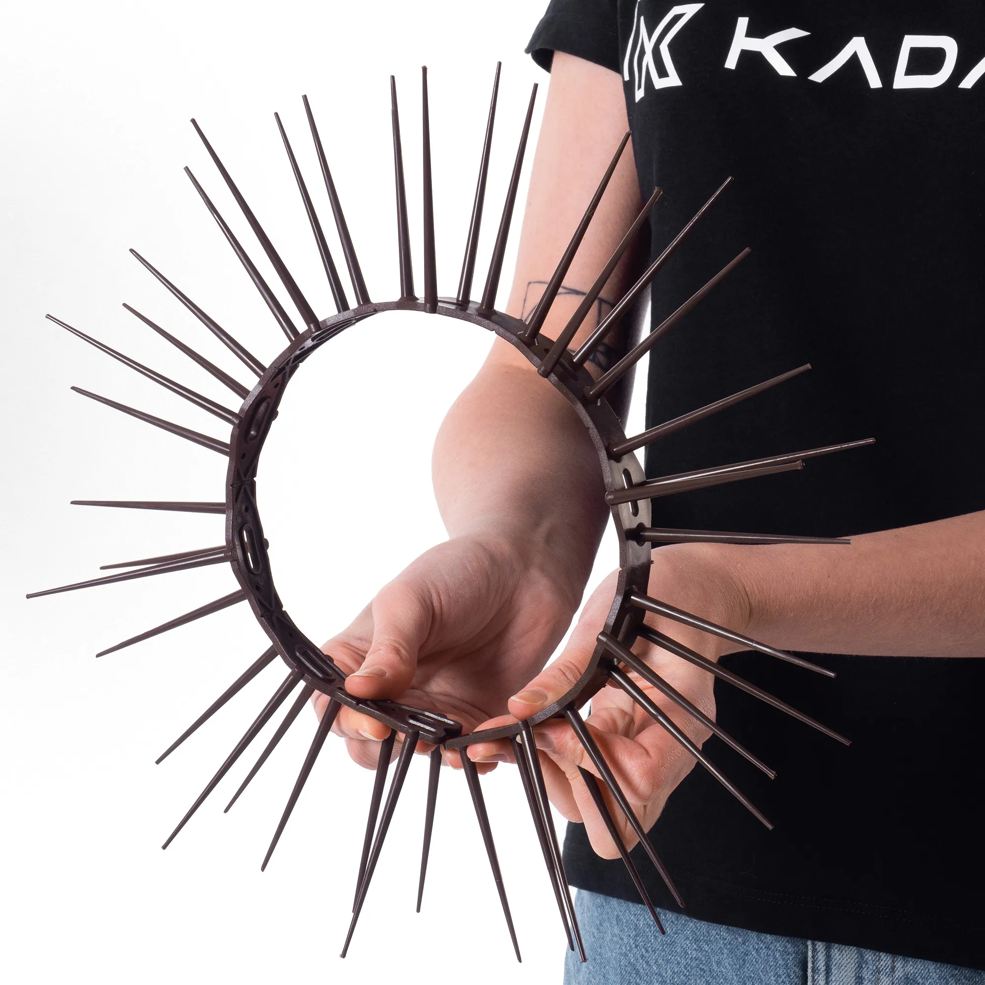 „Dierre“ paukščių atbaidymo spygliai rudi, 50 vnt.