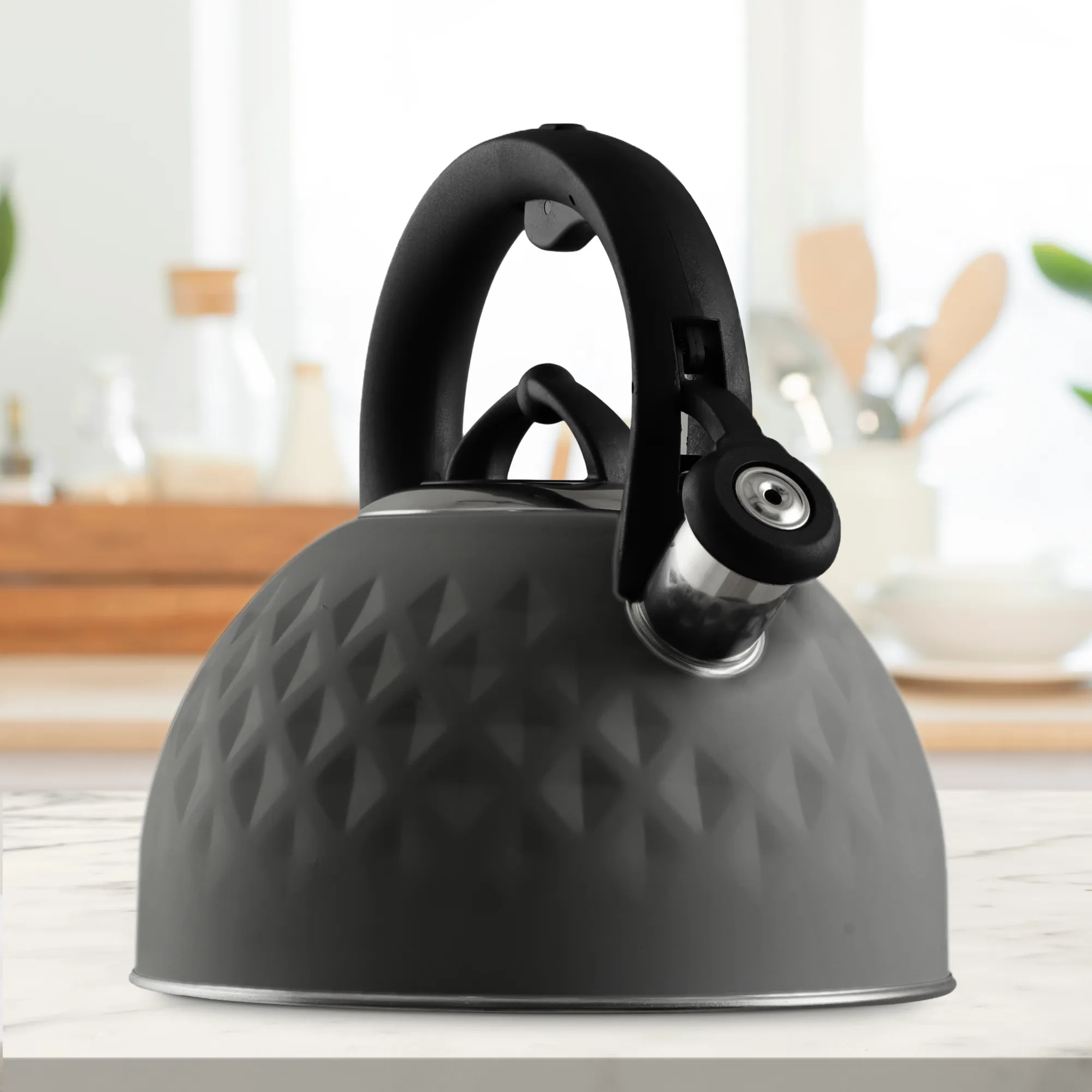 „Artaix“ 2,5 l nerūdijančio plieno virdulys, pilkas