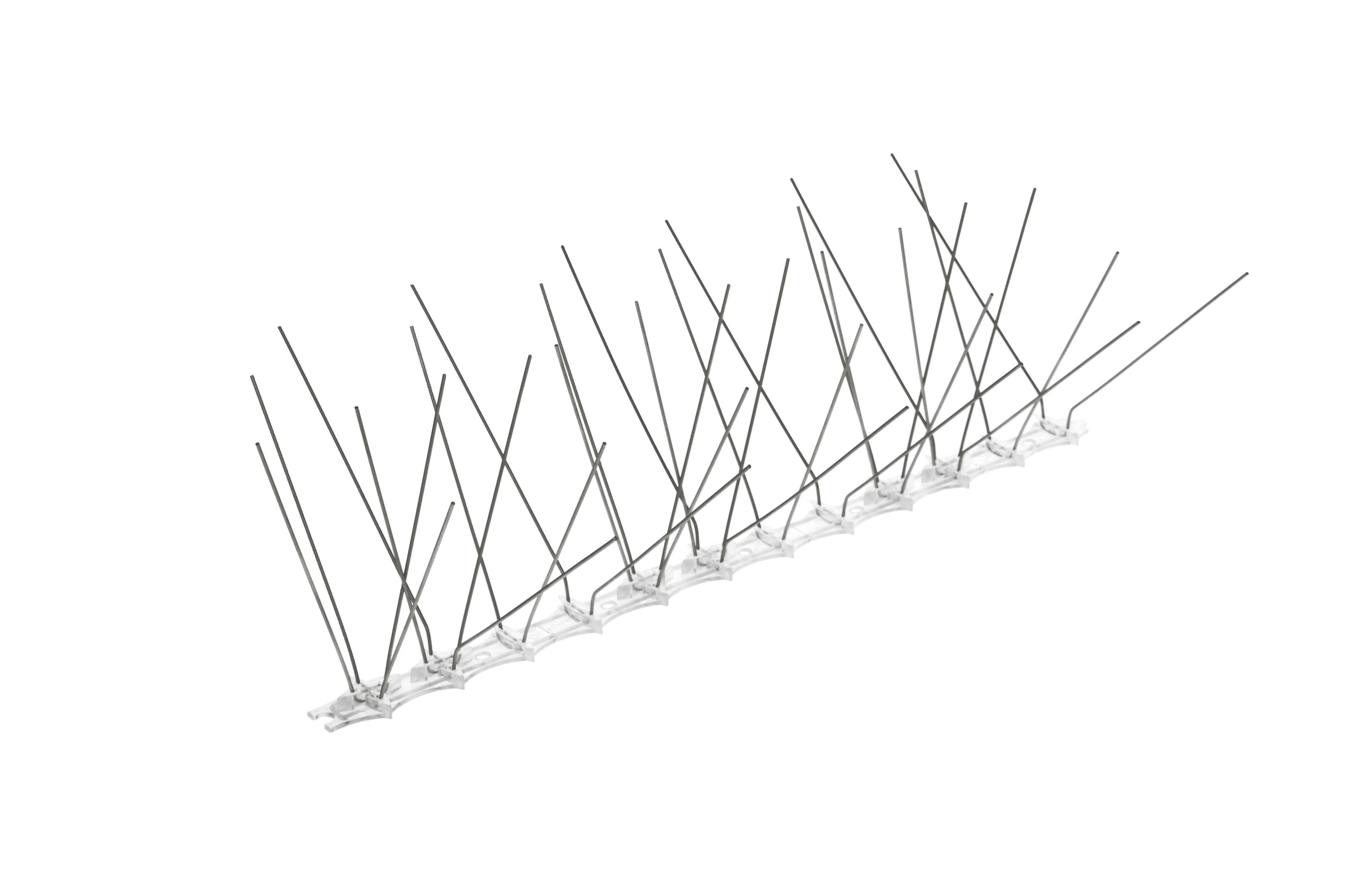 Paukščių spygliai 33 x 10 cm, 1 vnt.