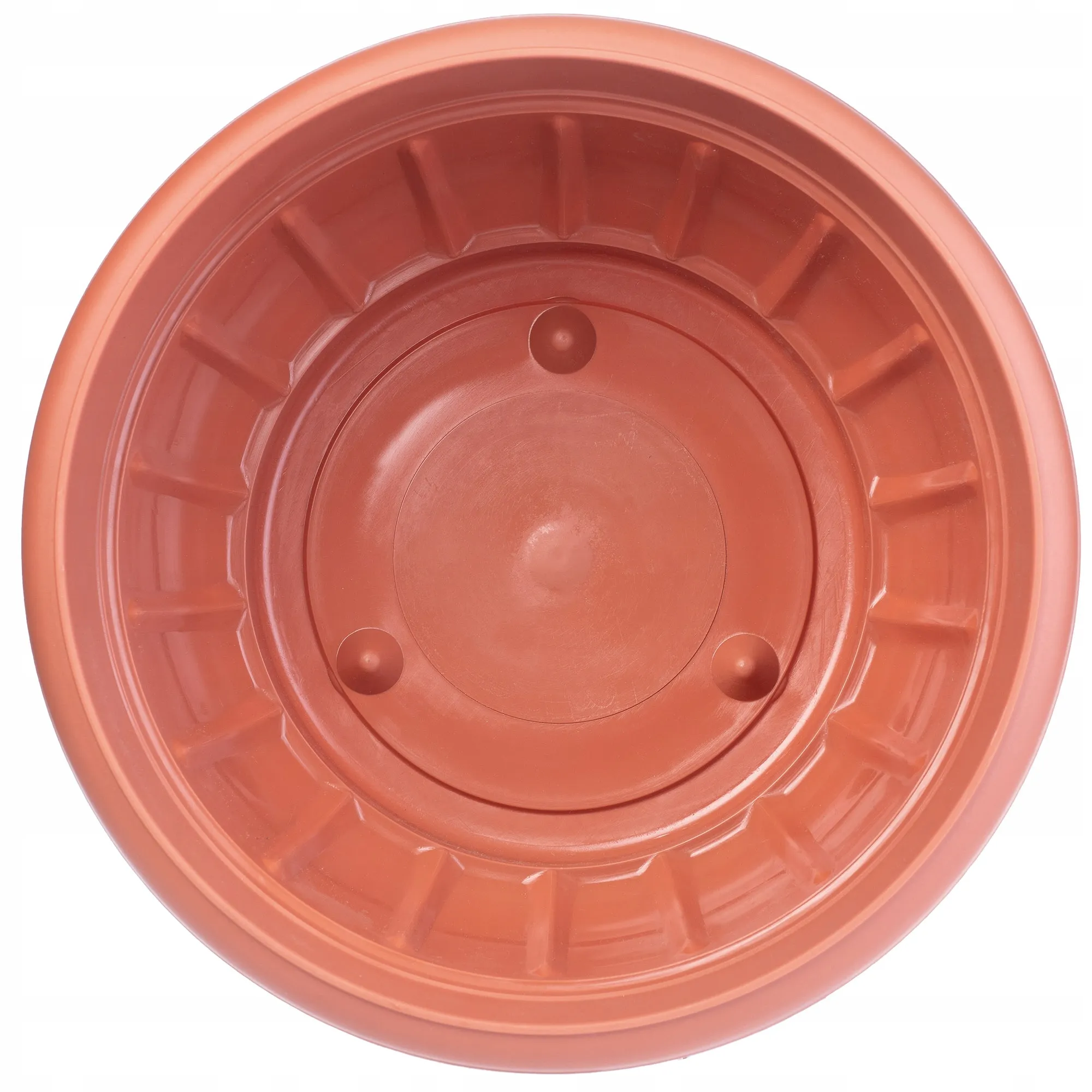 Budrio kapinių dubenėlis gėlėms 20 cm