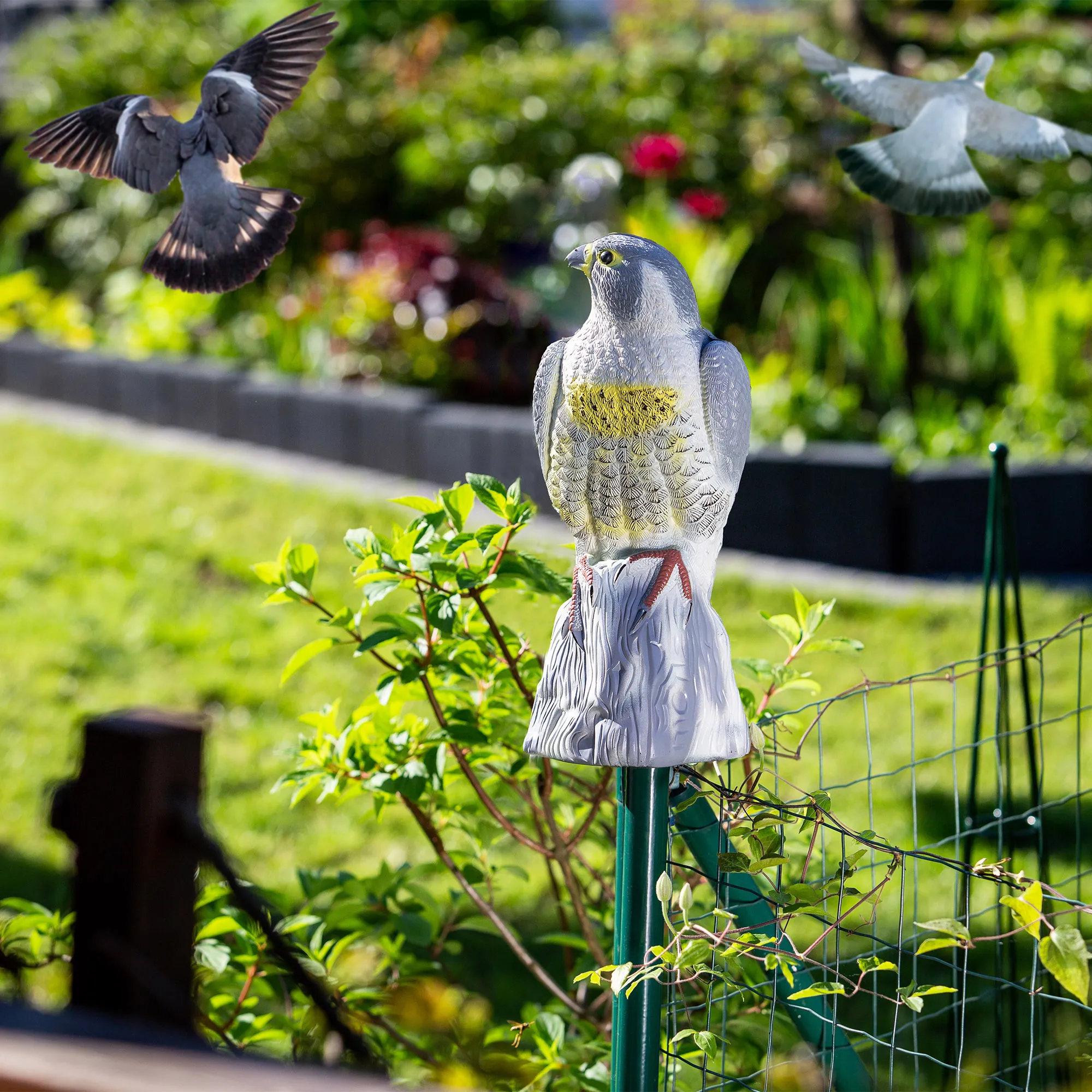 Didelis sakalas 42 cm, paukščių baidyklė