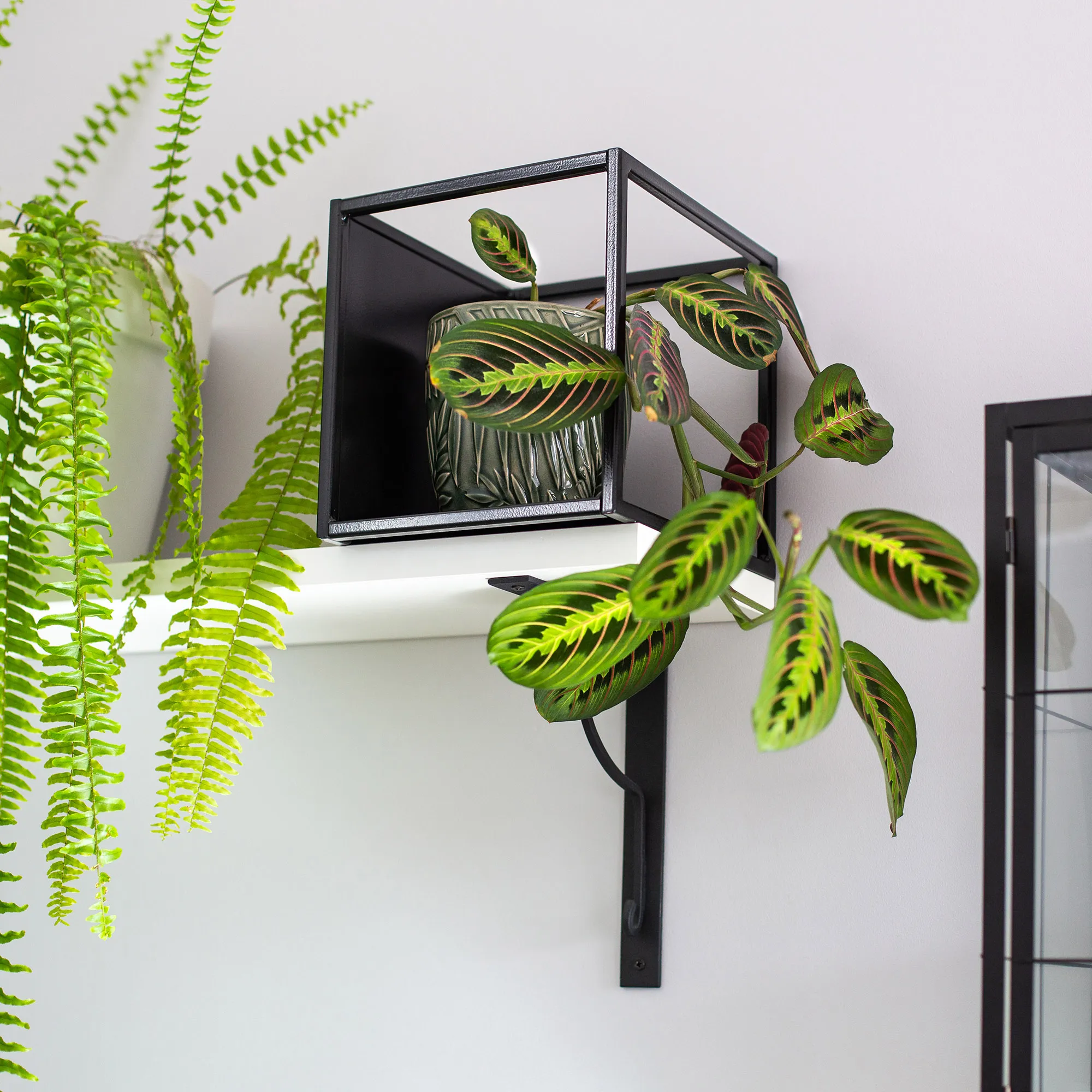 „Narcao“ modulinis augalų stovas