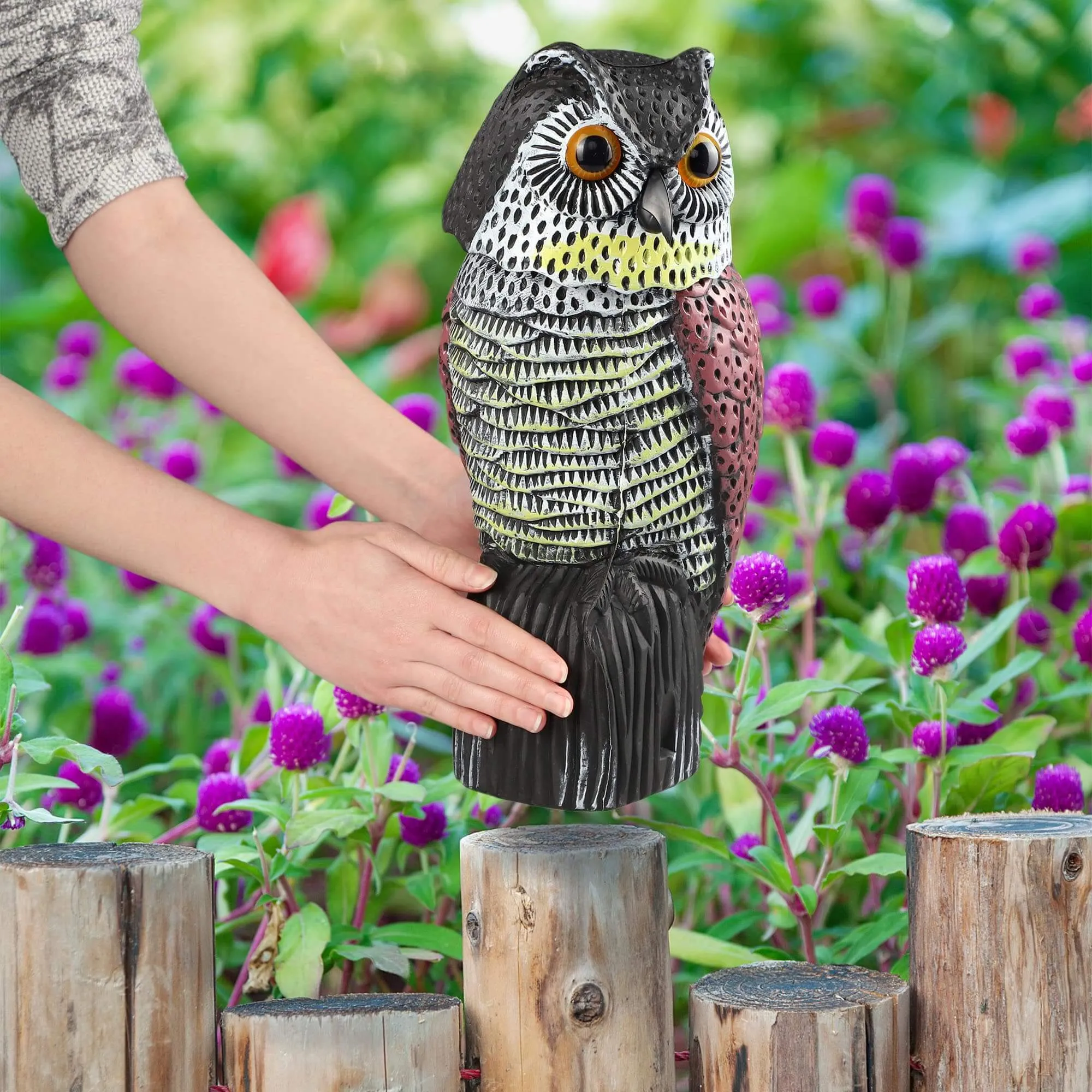 Pelėdos figūrėlė su judančia galva 37 x 17 cm